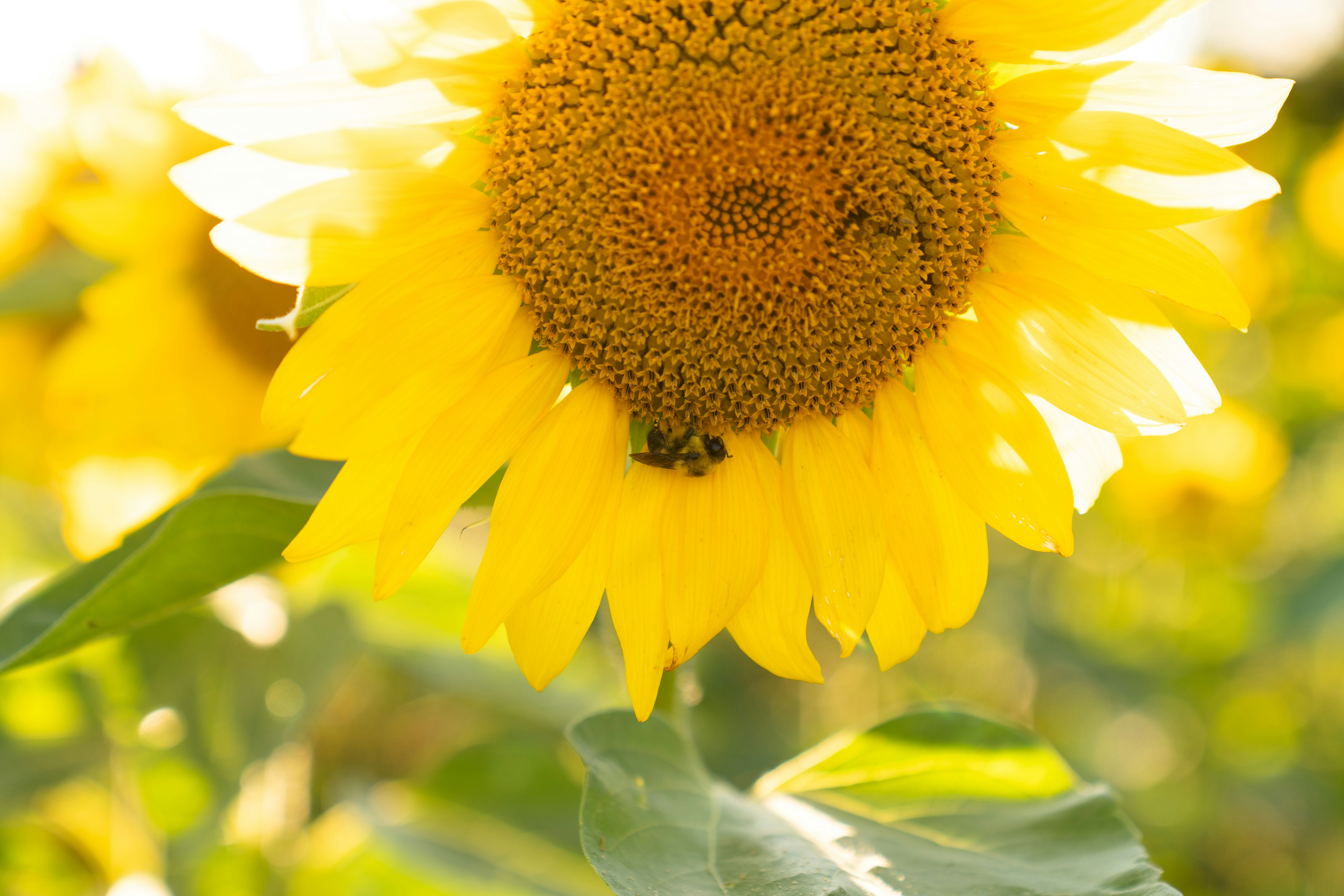 Photo by kristenelizabethphoto