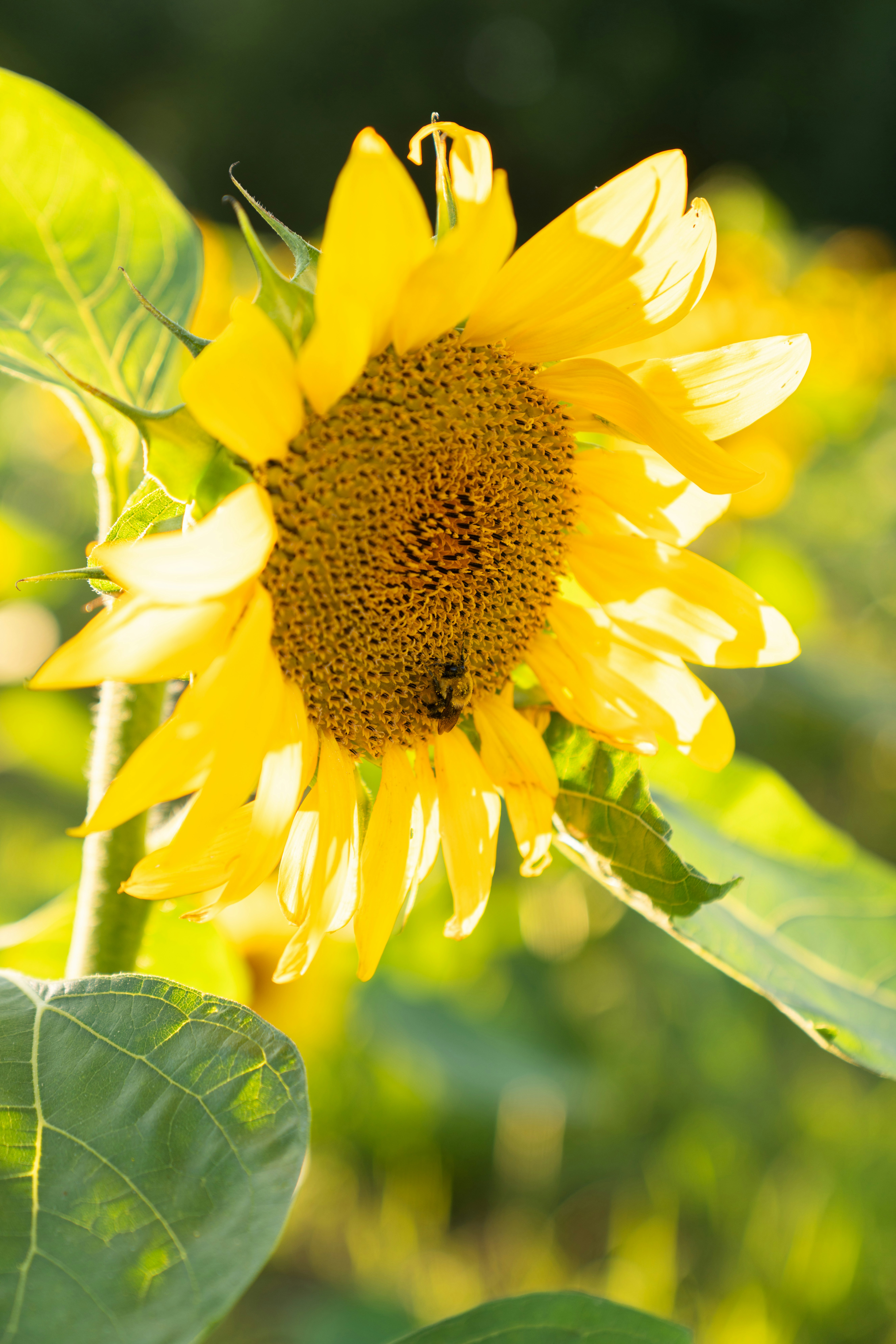 Photo by kristenelizabethphoto