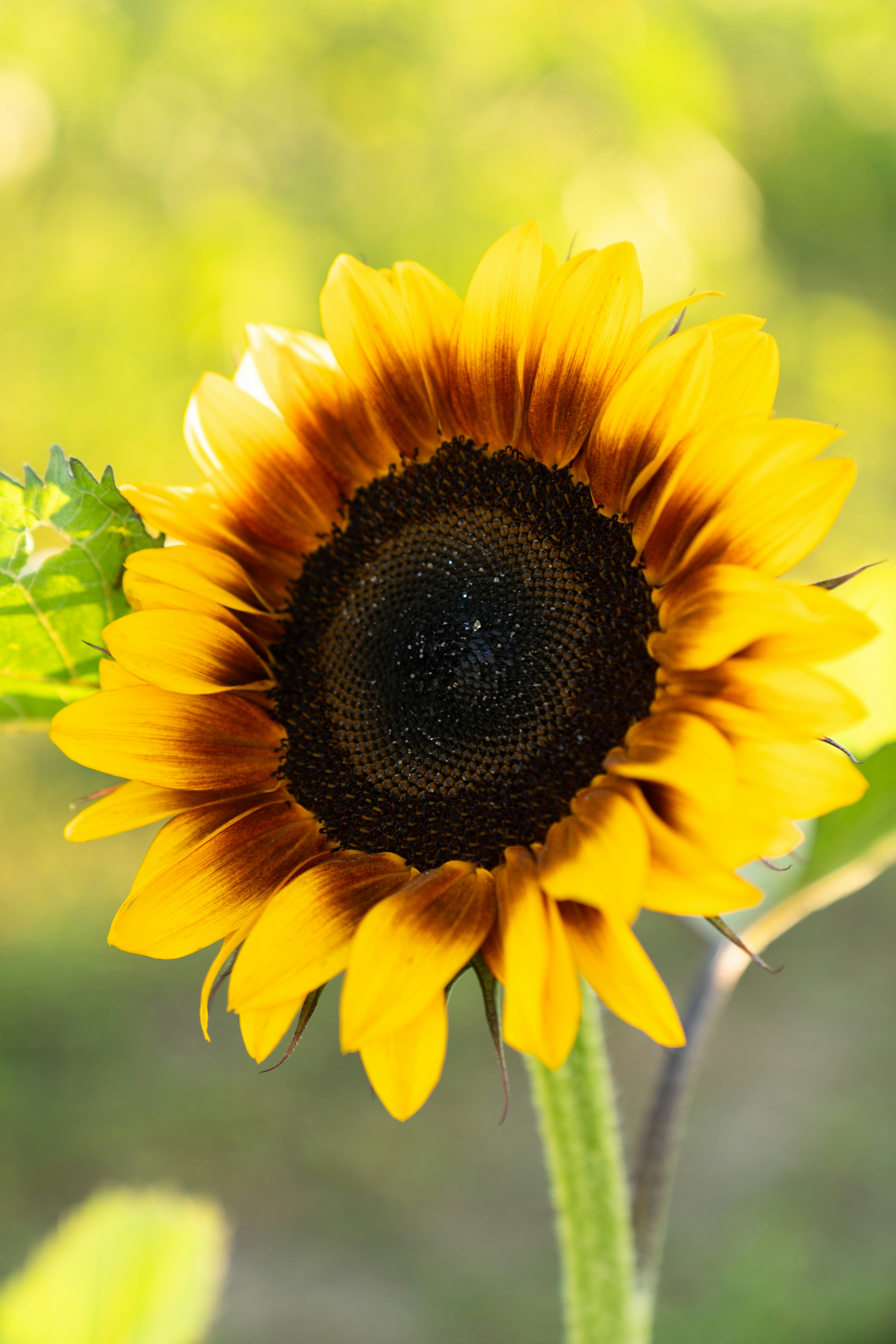 Photo by kristenelizabethphoto