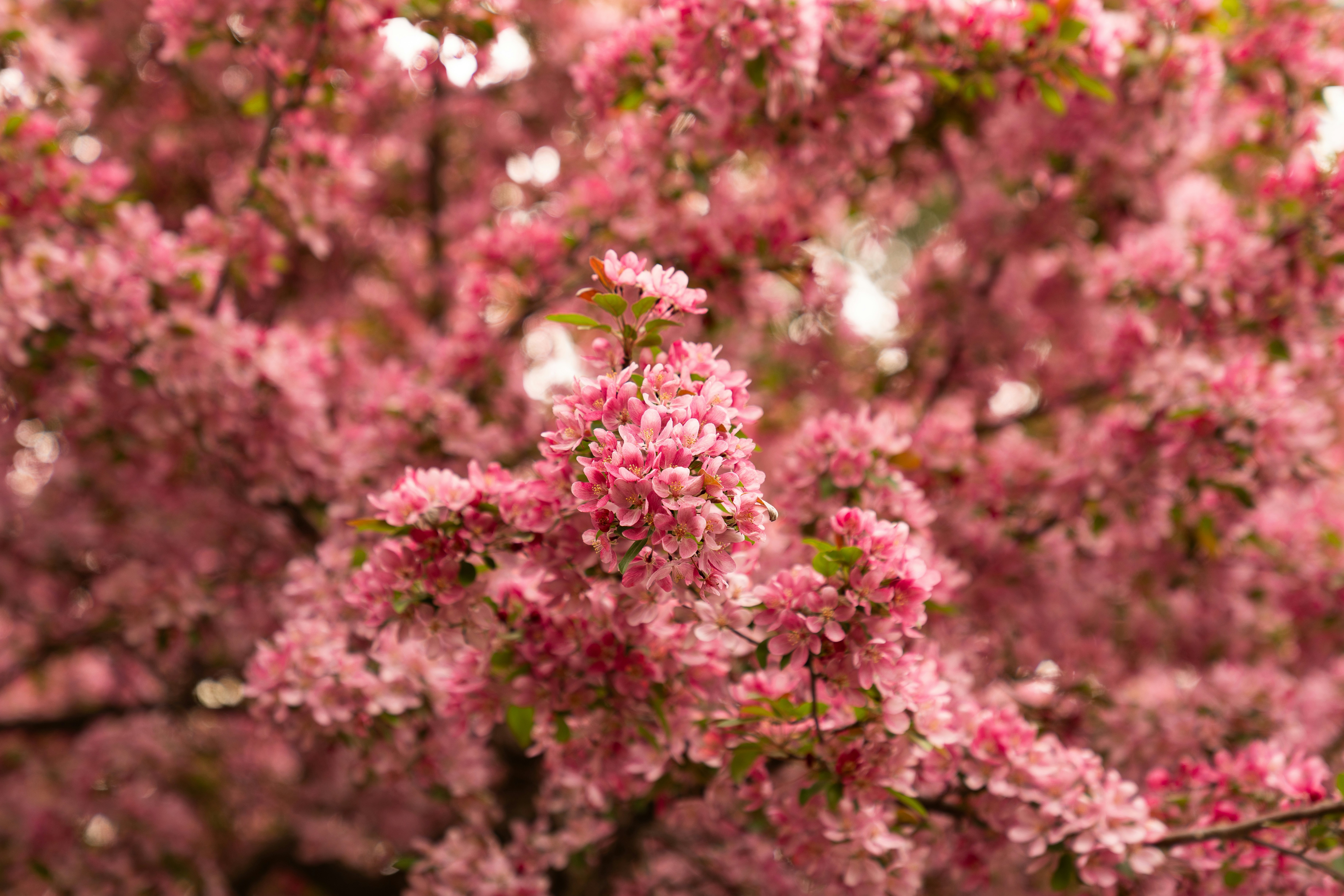 Photo by kristenelizabethphoto