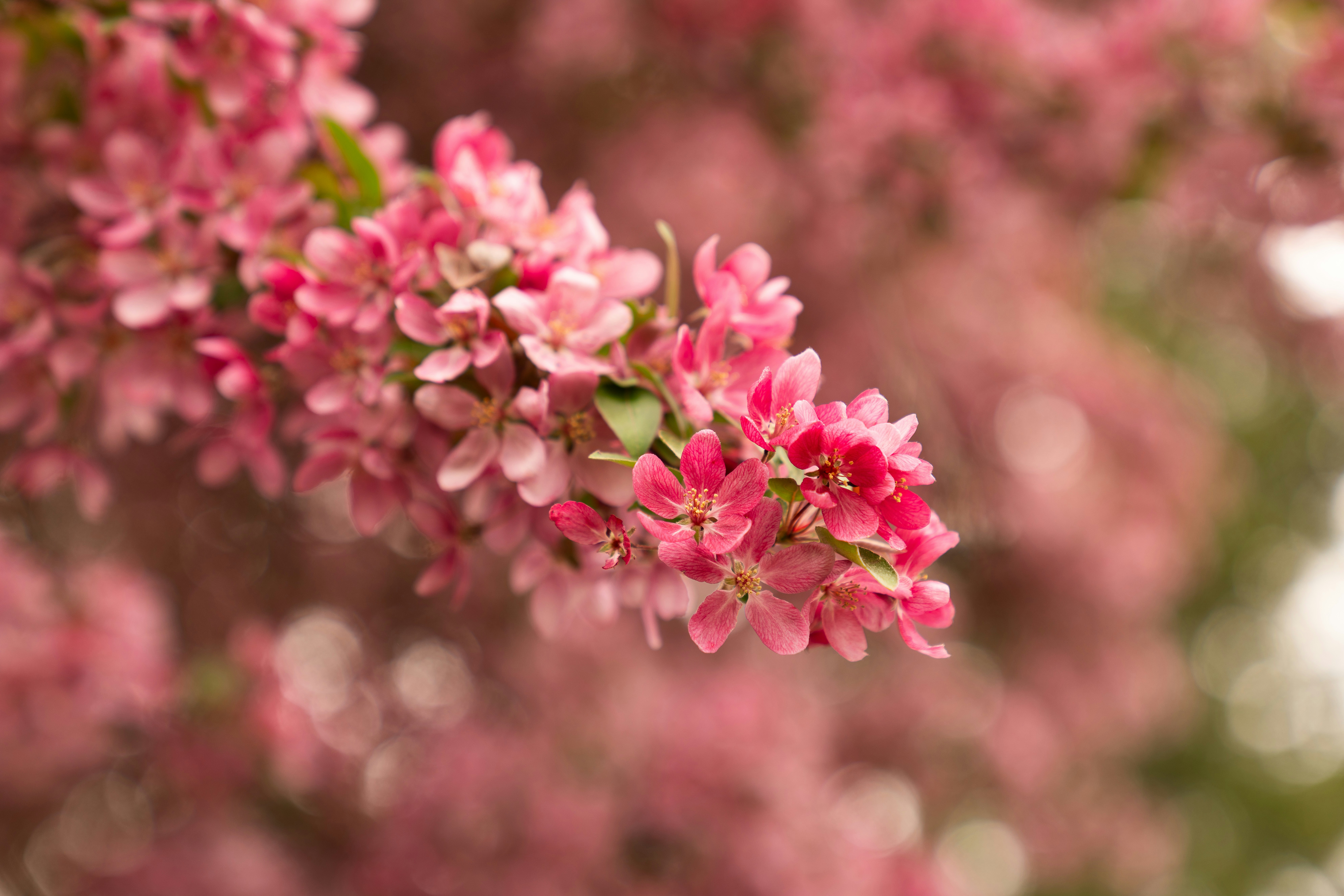 Photo by kristenelizabethphoto