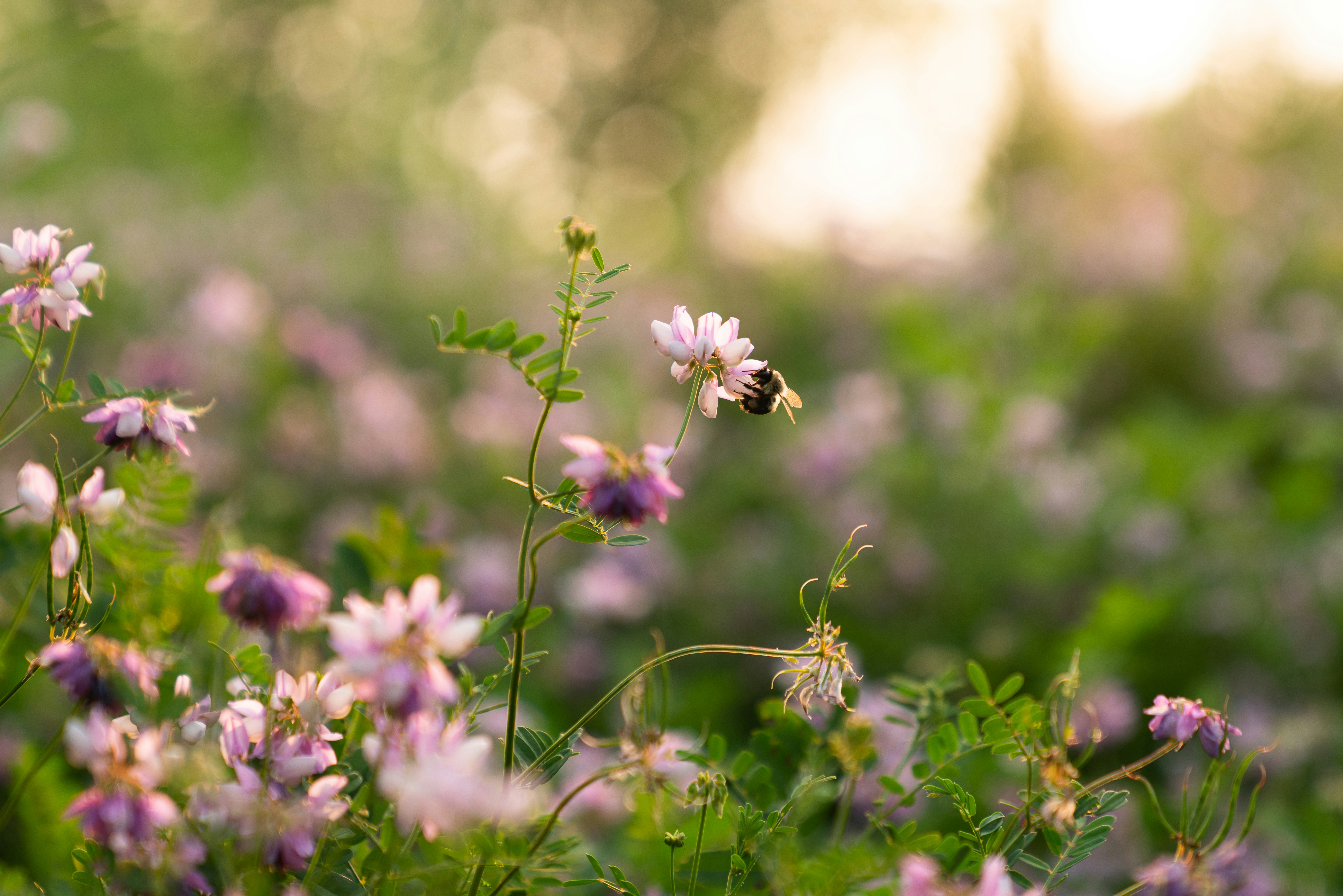 Photo by kristenelizabethphoto