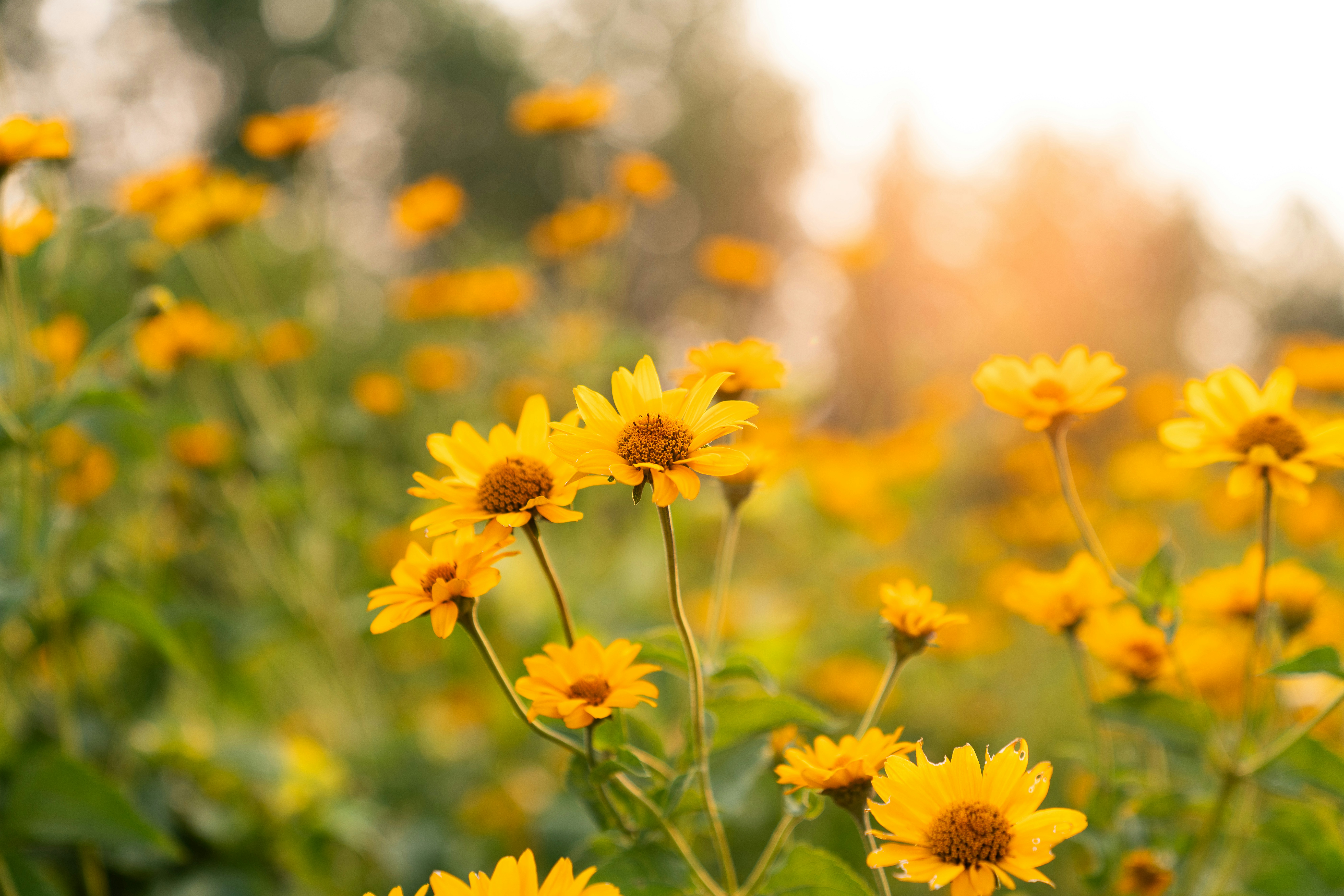 Photo by kristenelizabethphoto