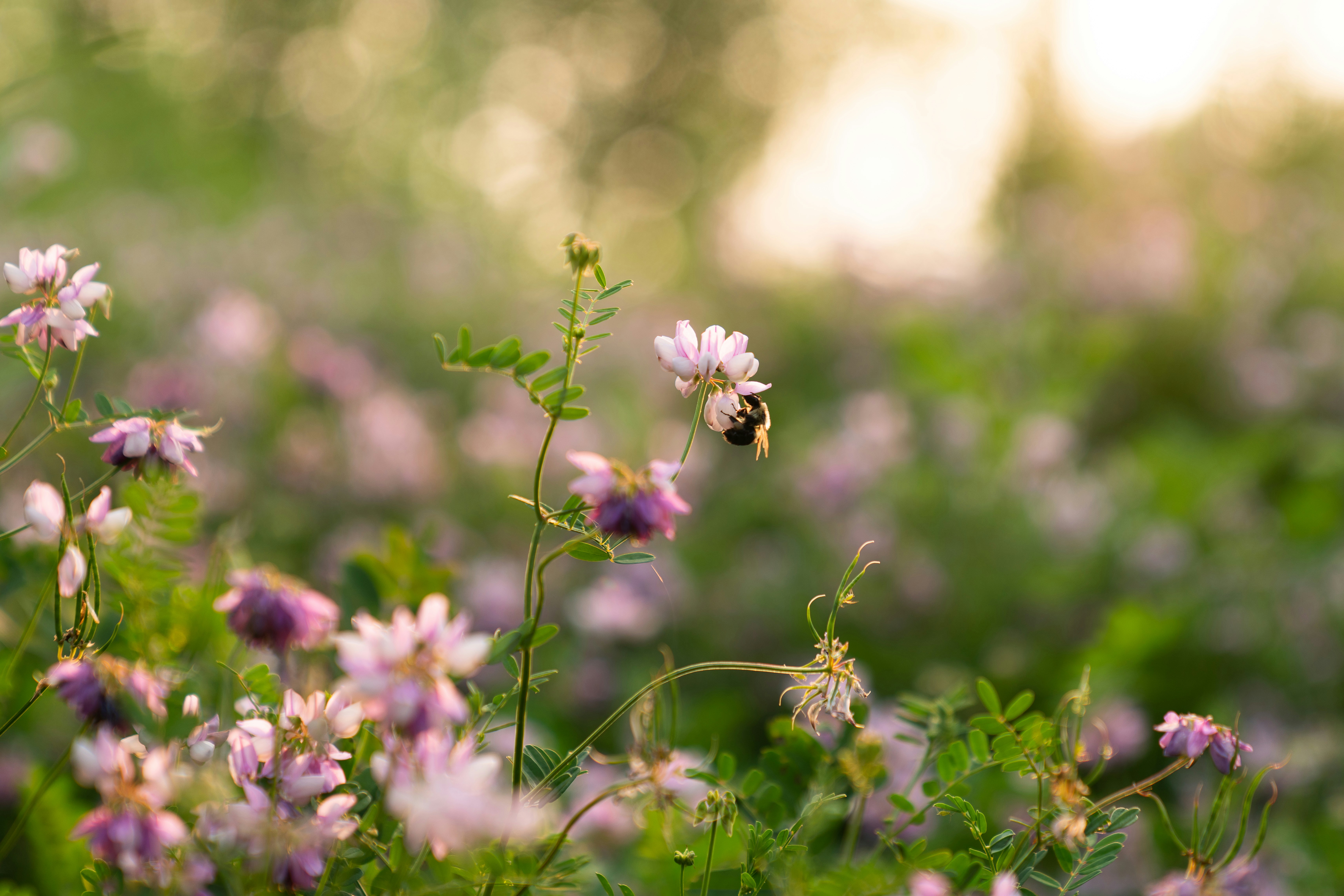 Photo by kristenelizabethphoto