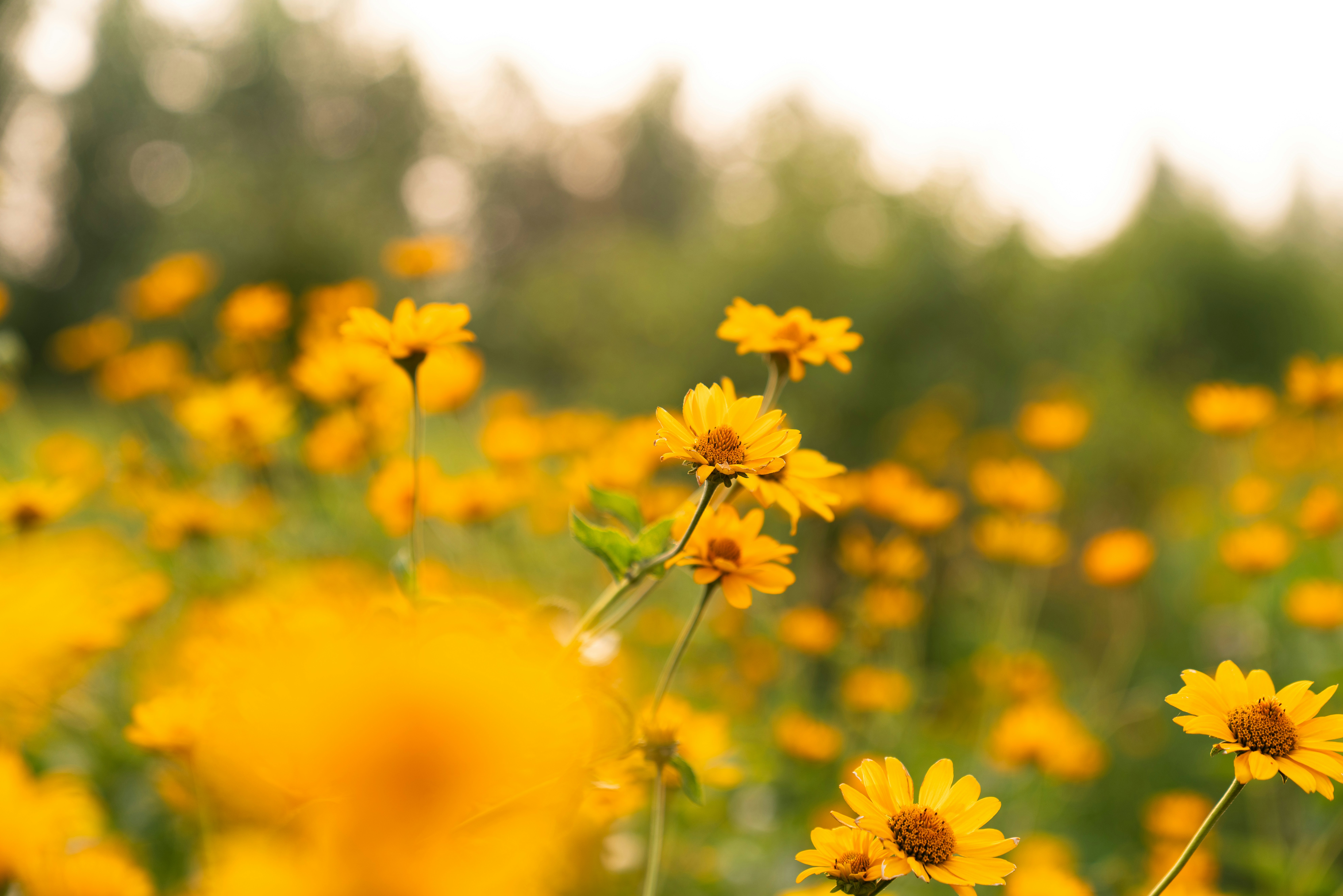 Photo by kristenelizabethphoto