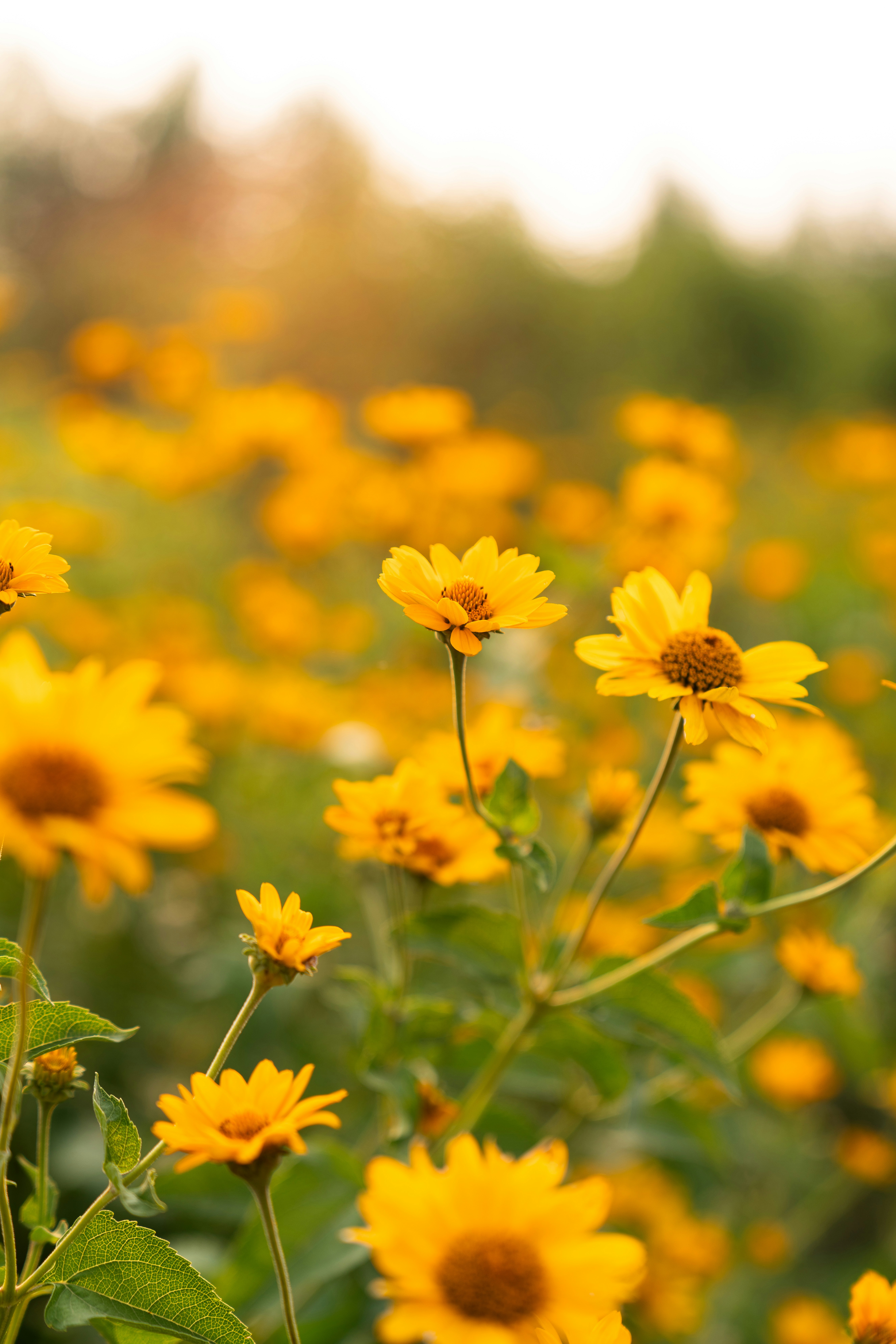 Photo by kristenelizabethphoto