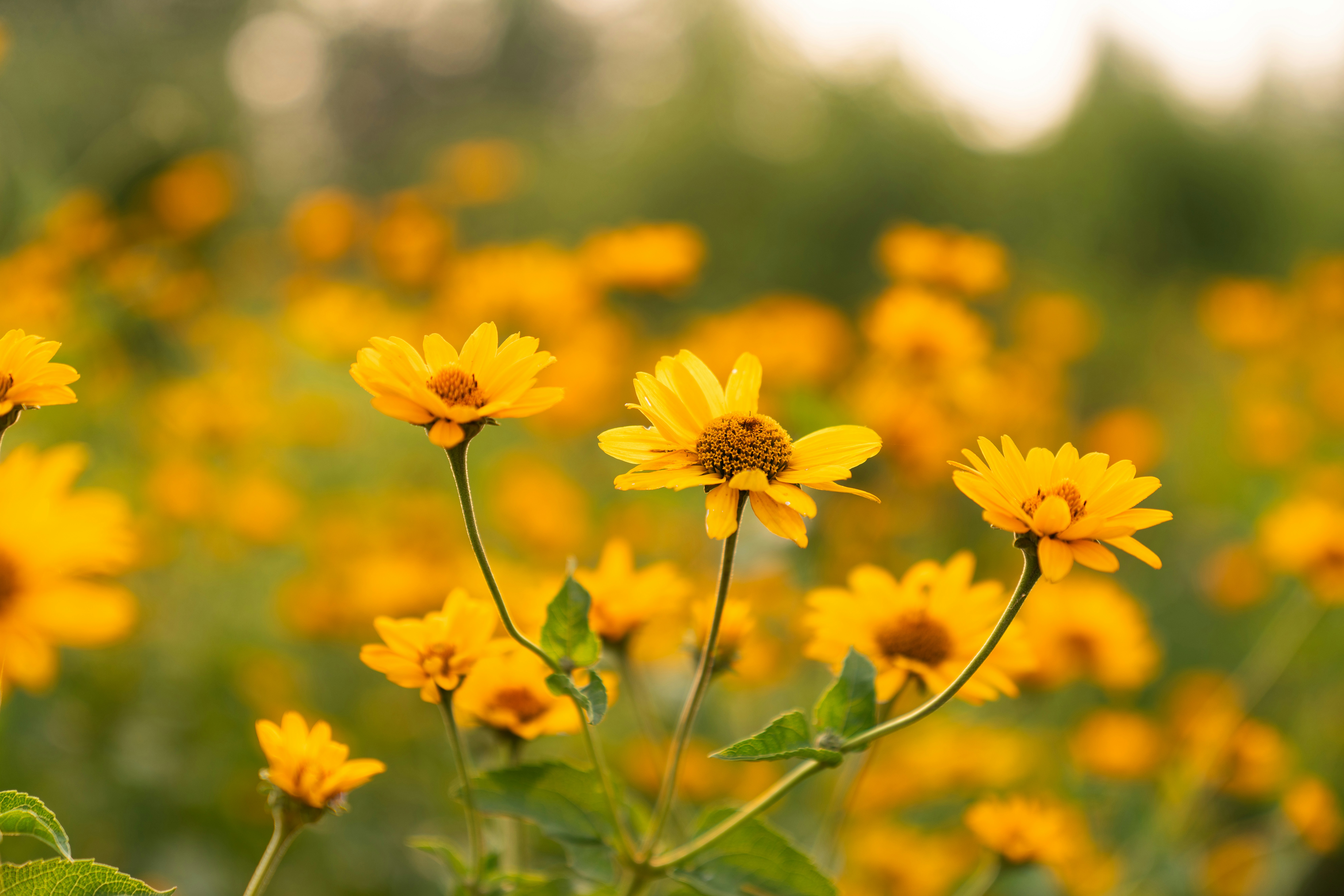 Photo by kristenelizabethphoto