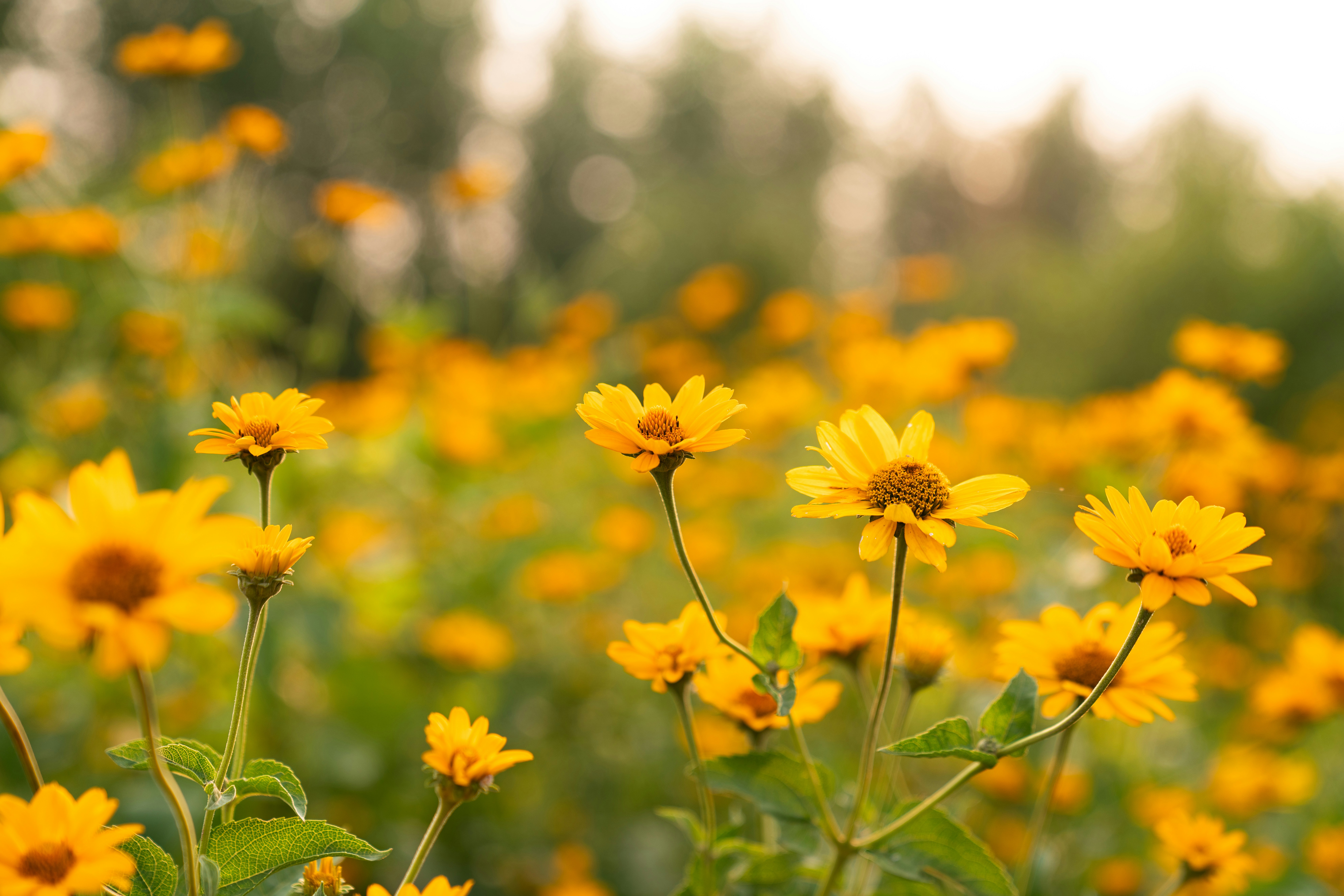 Photo by kristenelizabethphoto