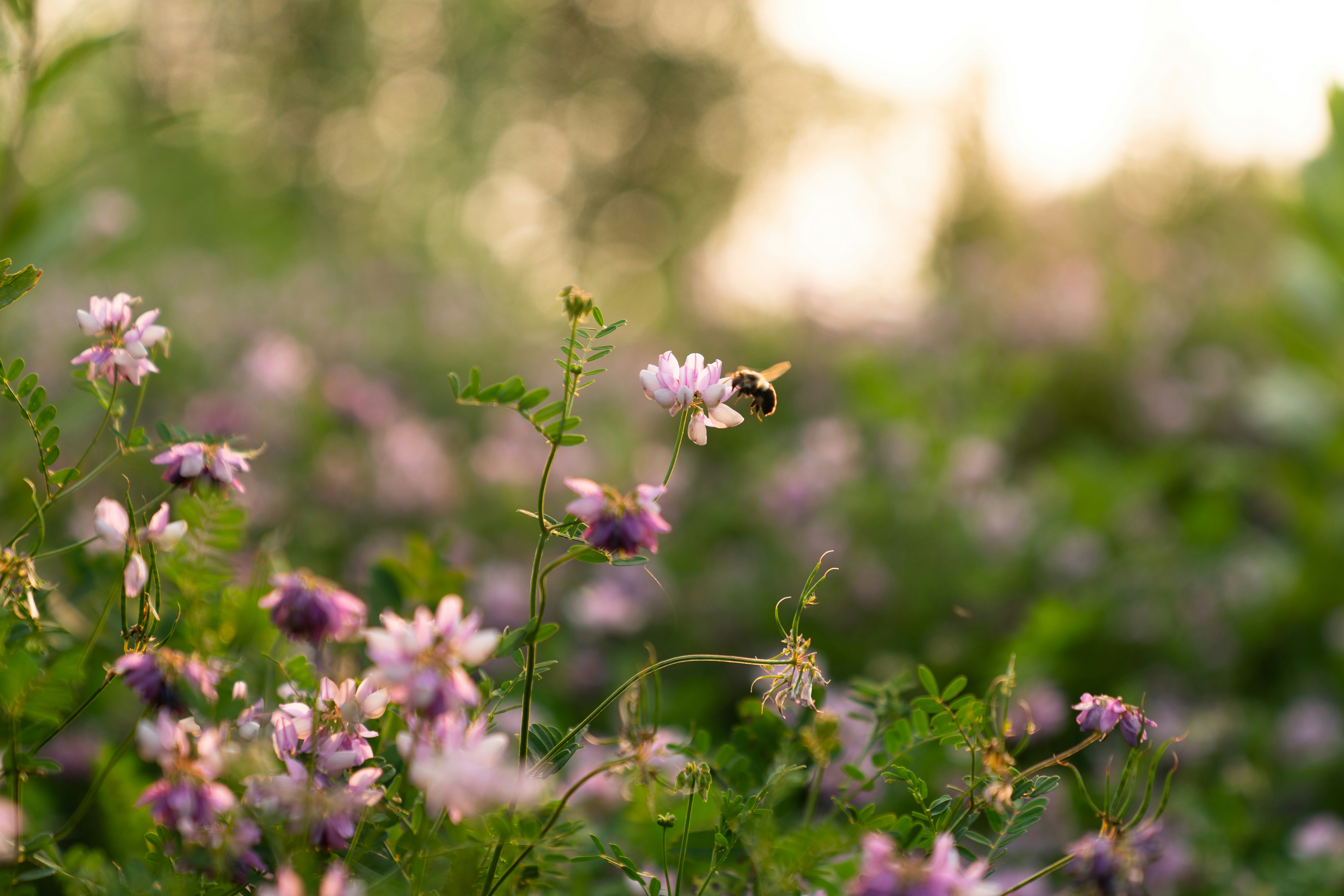 Photo by kristenelizabethphoto