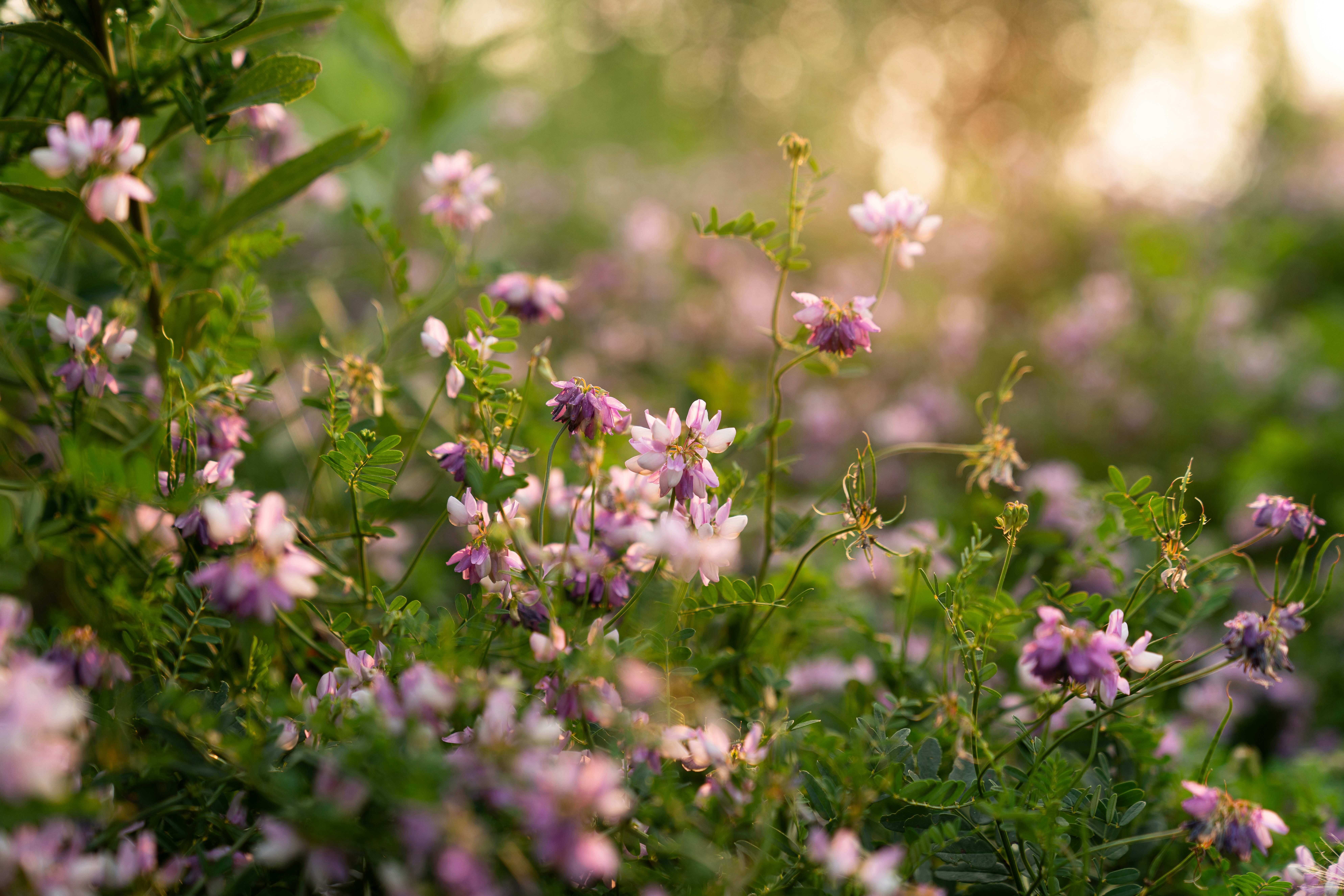 Photo by kristenelizabethphoto