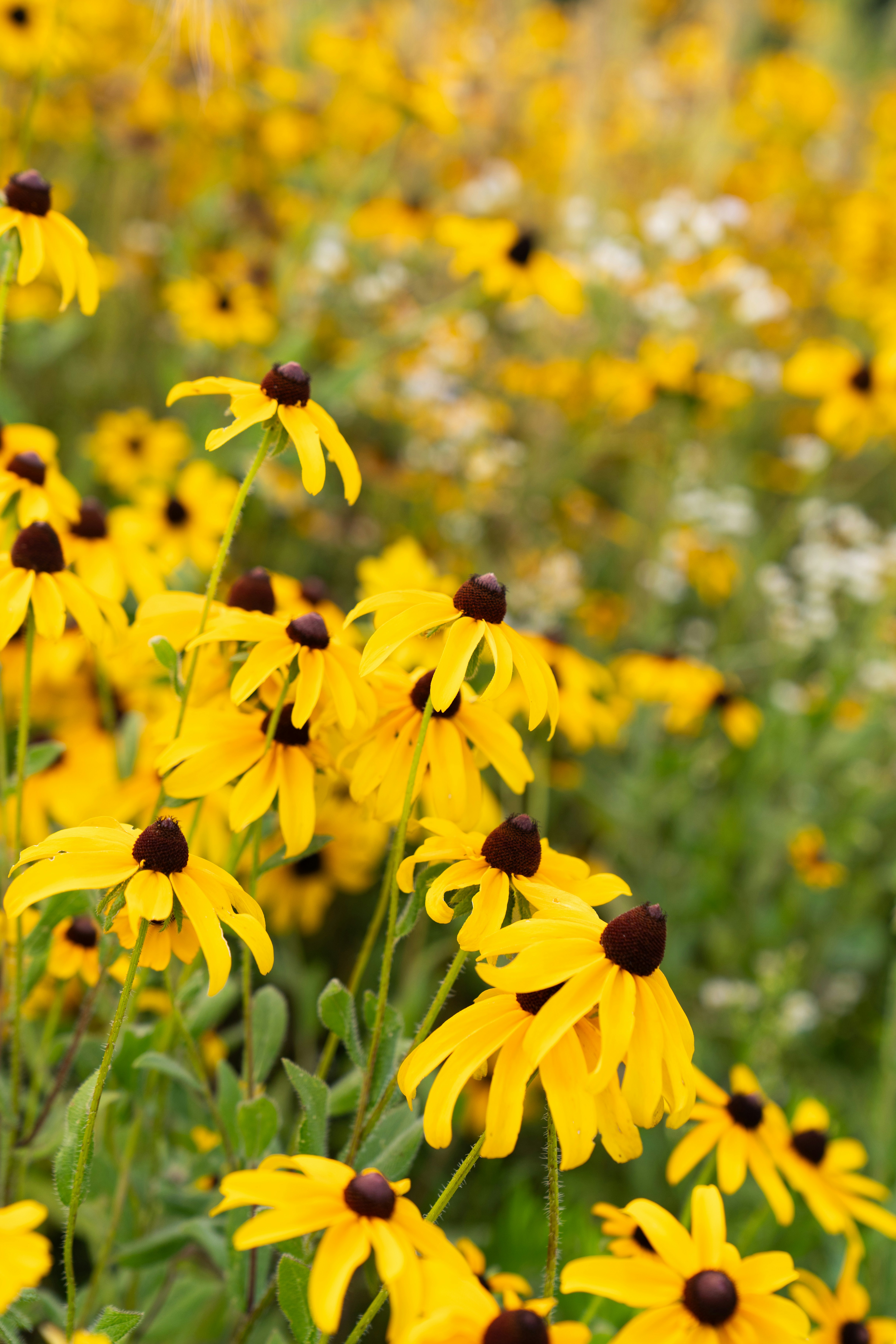 Photo by kristenelizabethphoto