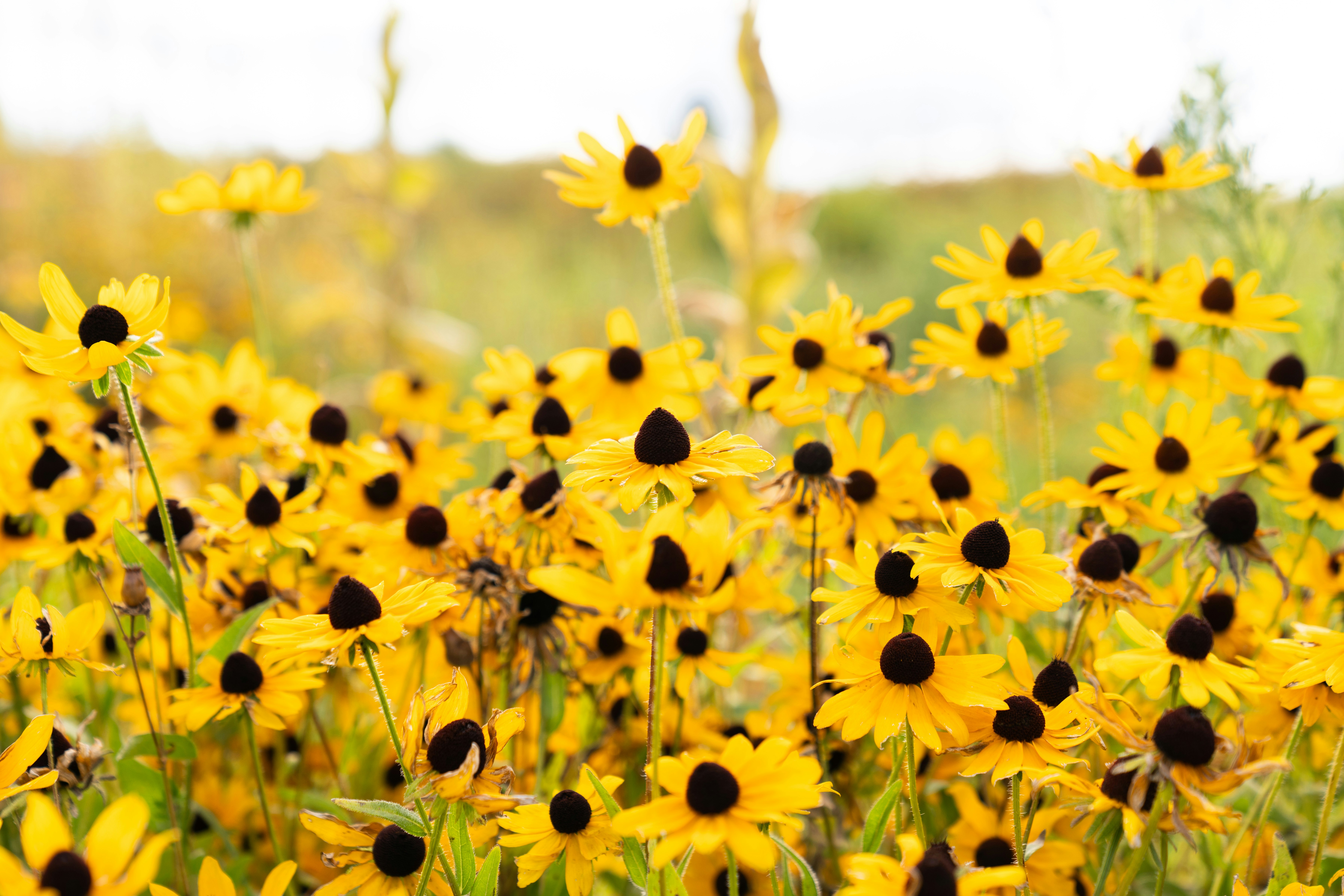 Photo by kristenelizabethphoto