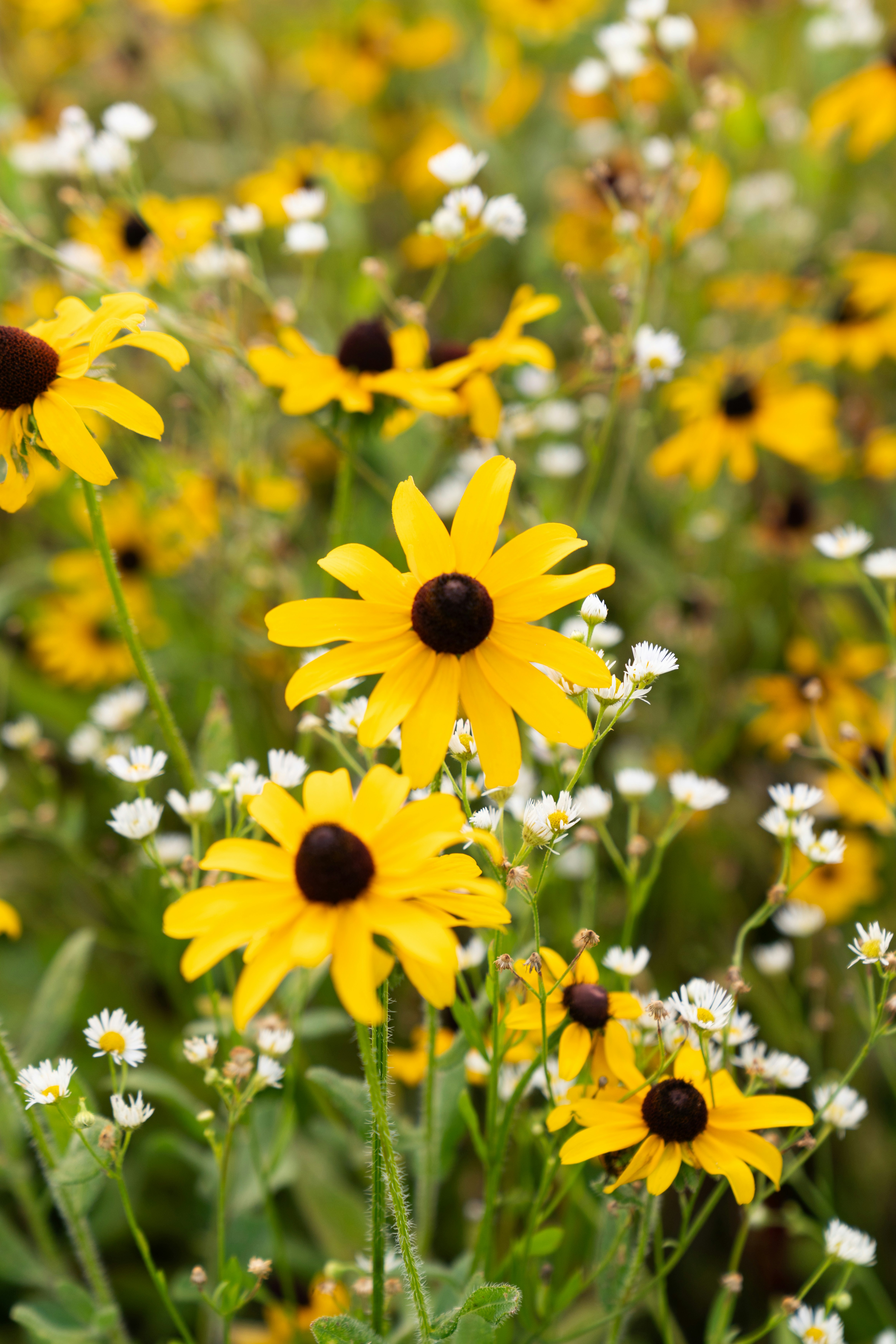 Photo by kristenelizabethphoto