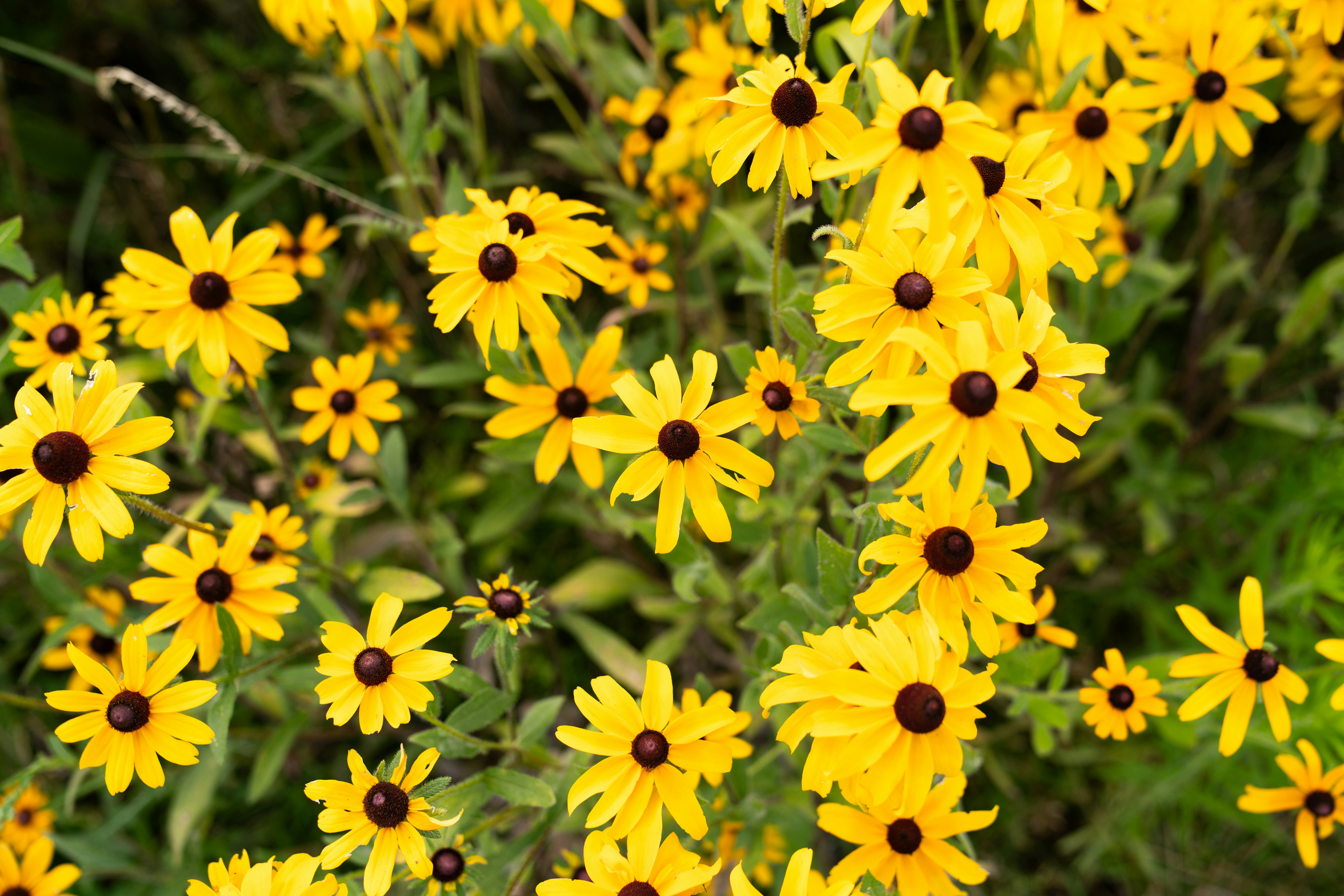 Photo by kristenelizabethphoto