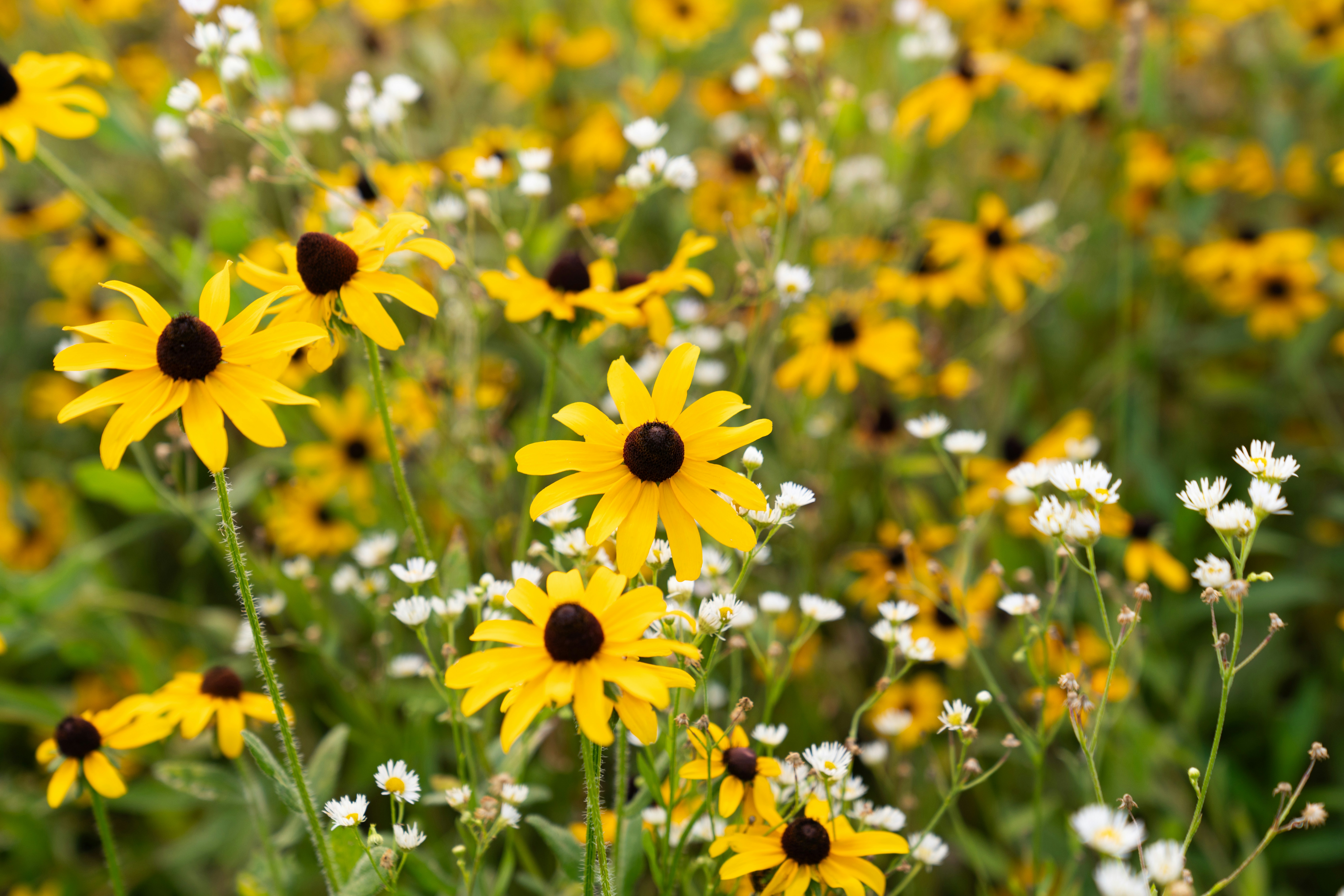 Photo by kristenelizabethphoto