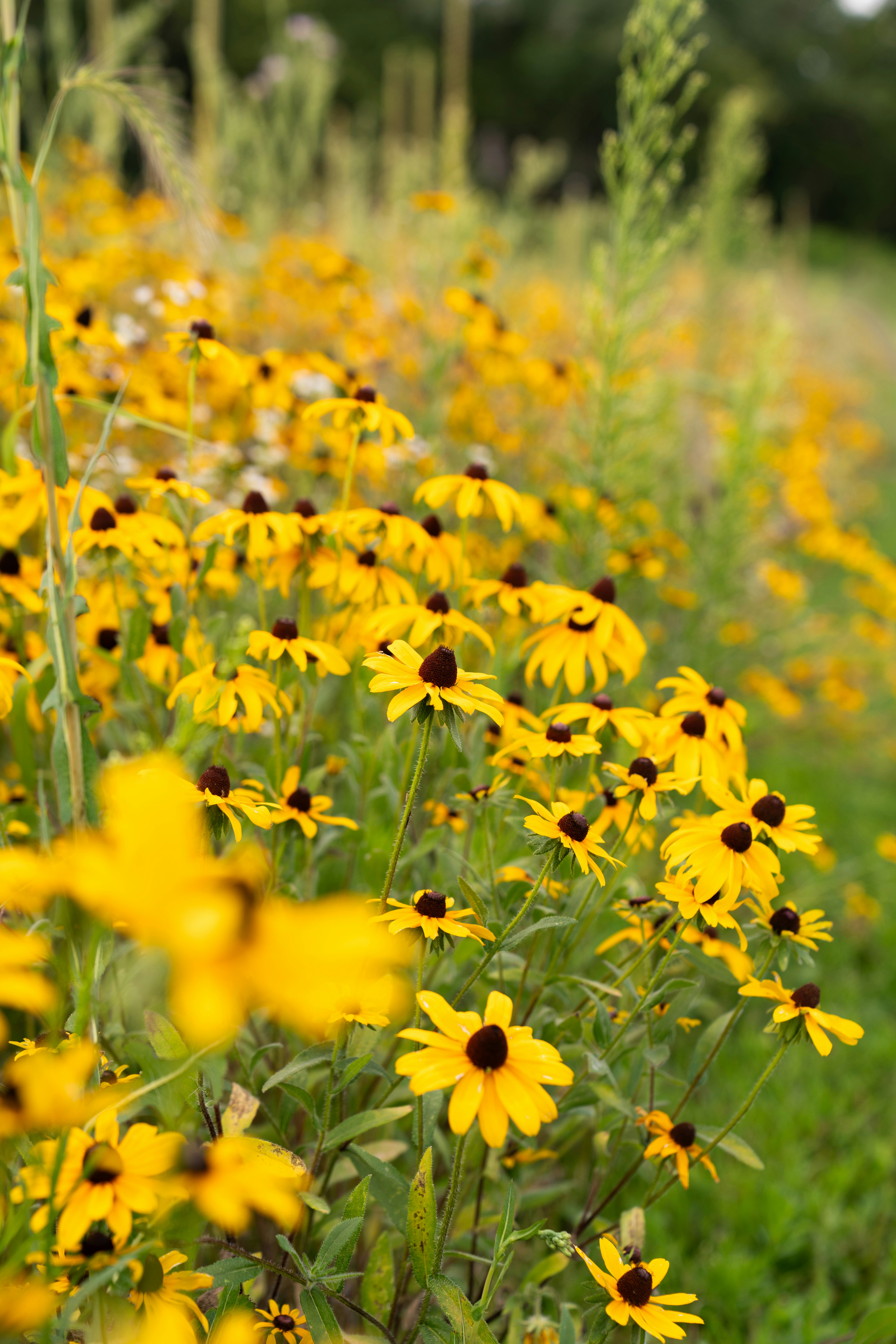 Photo by kristenelizabethphoto