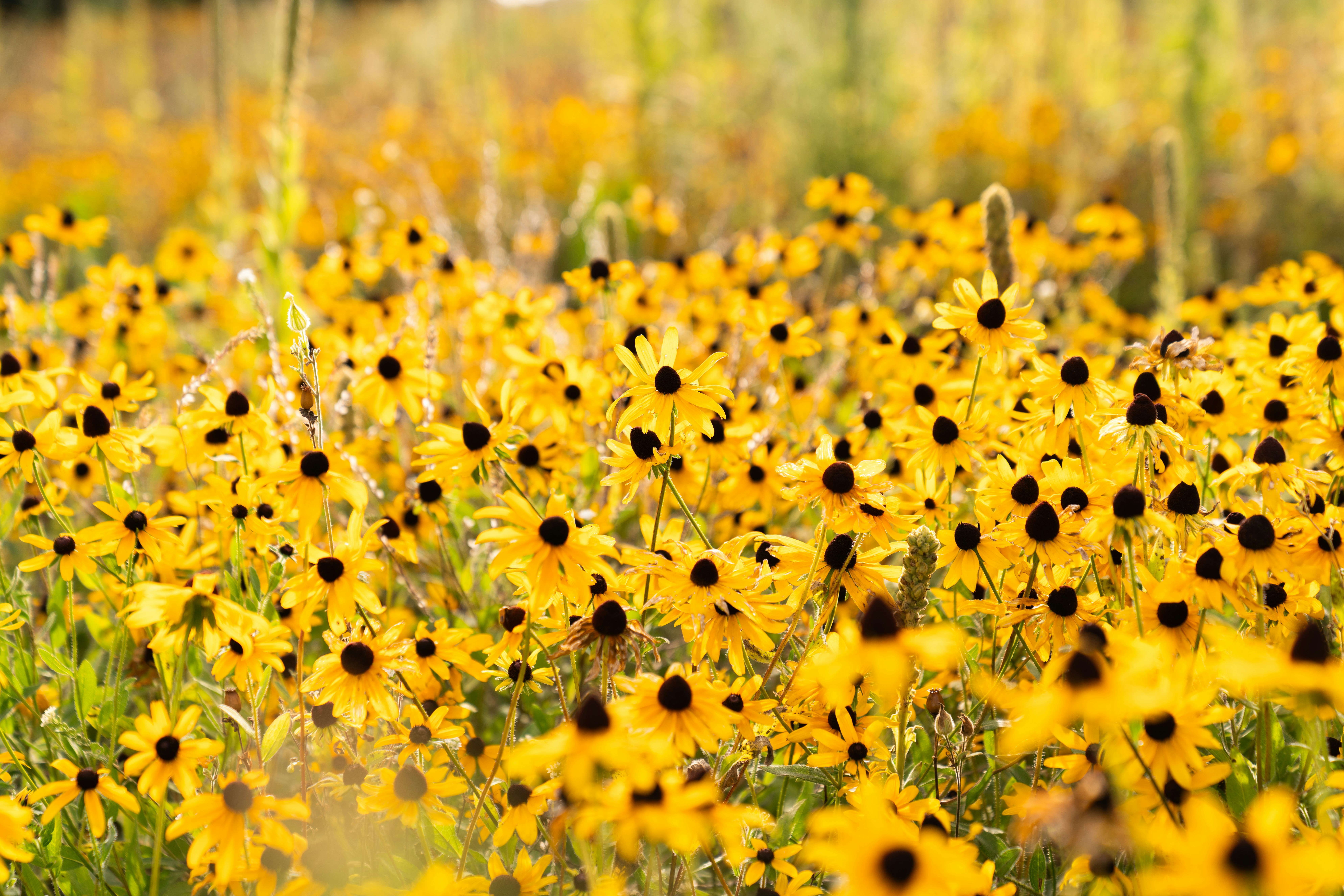 Photo by kristenelizabethphoto