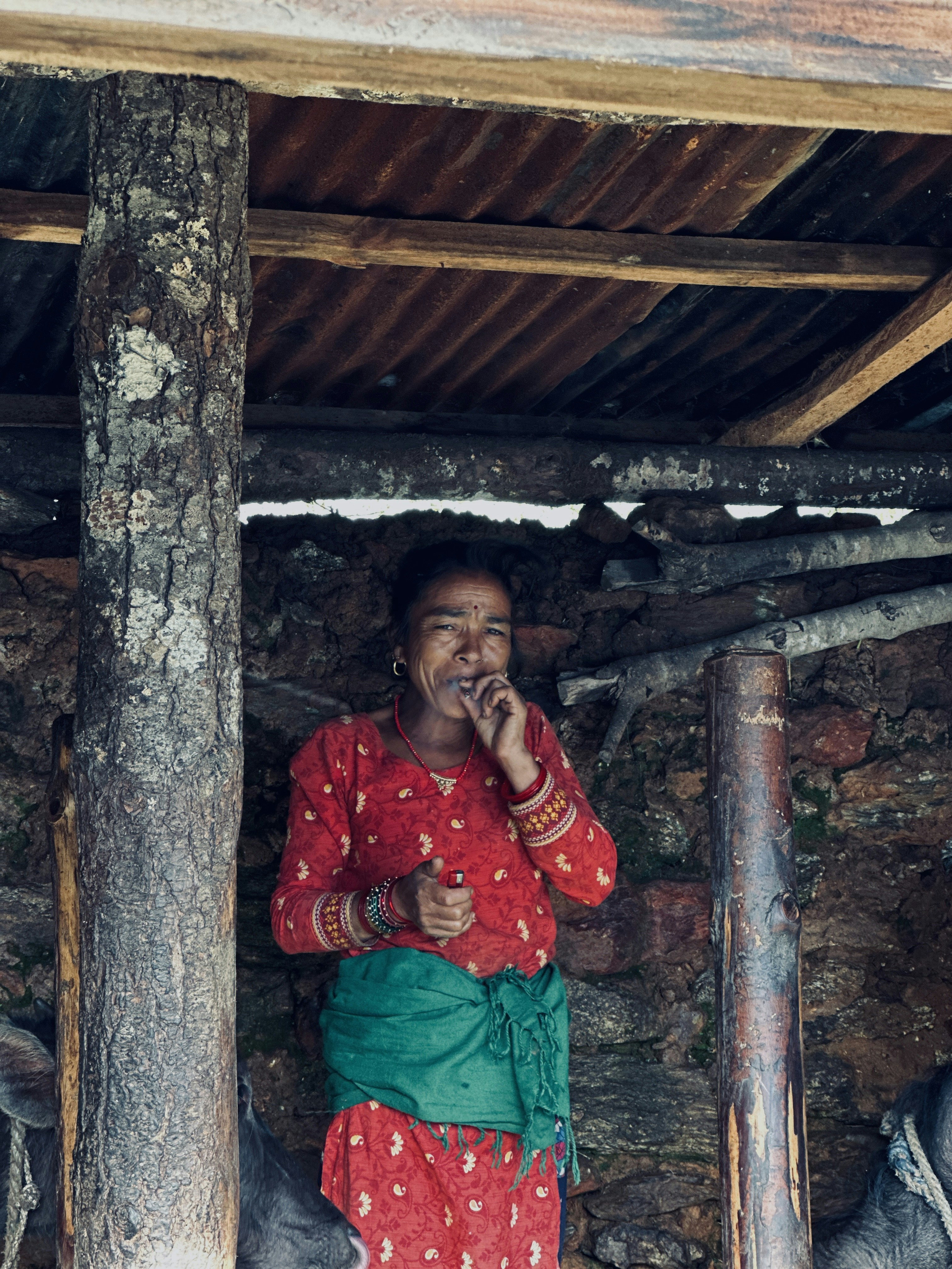 Photo by amila_bg098