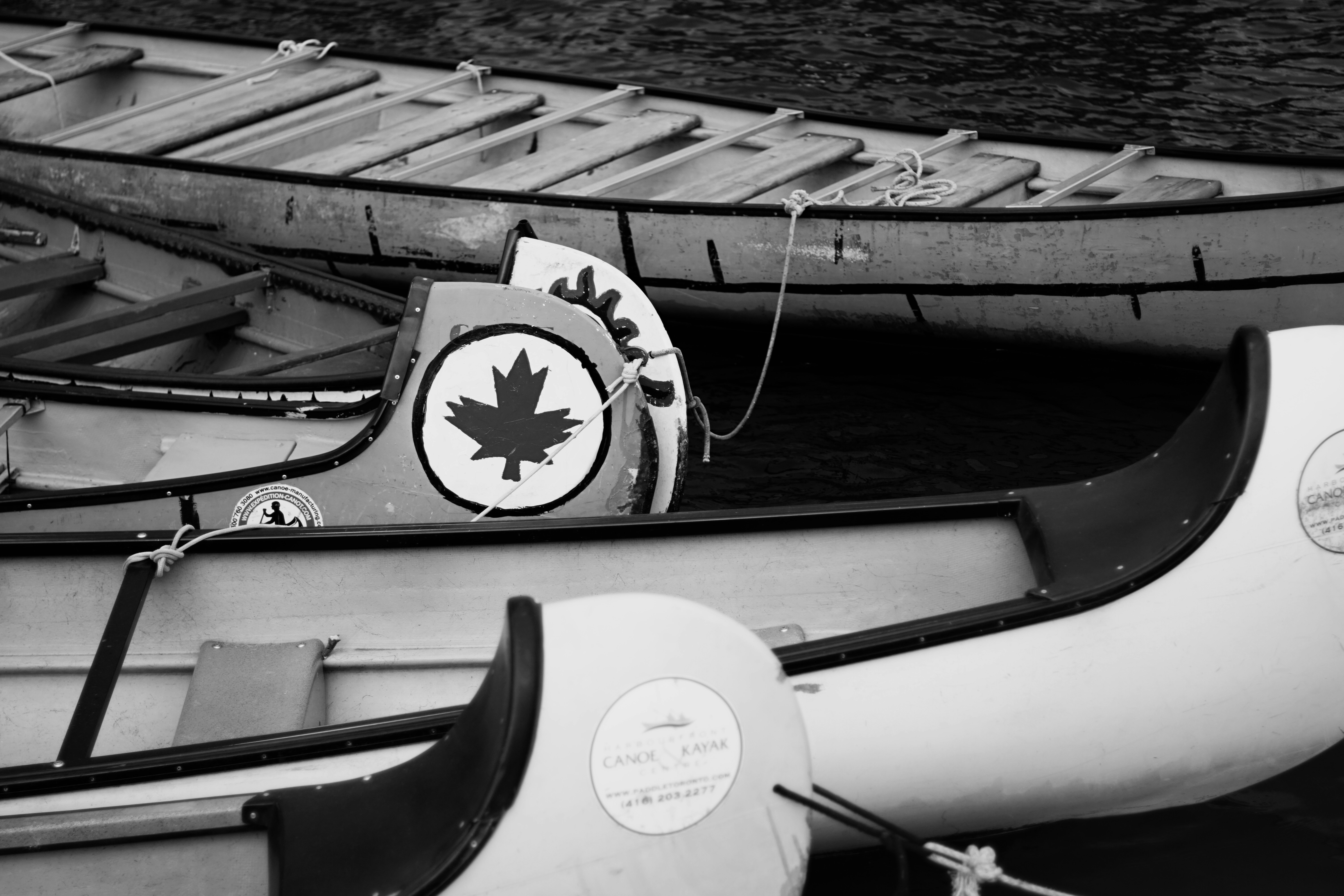 College of the Albemarle Canoe Launch