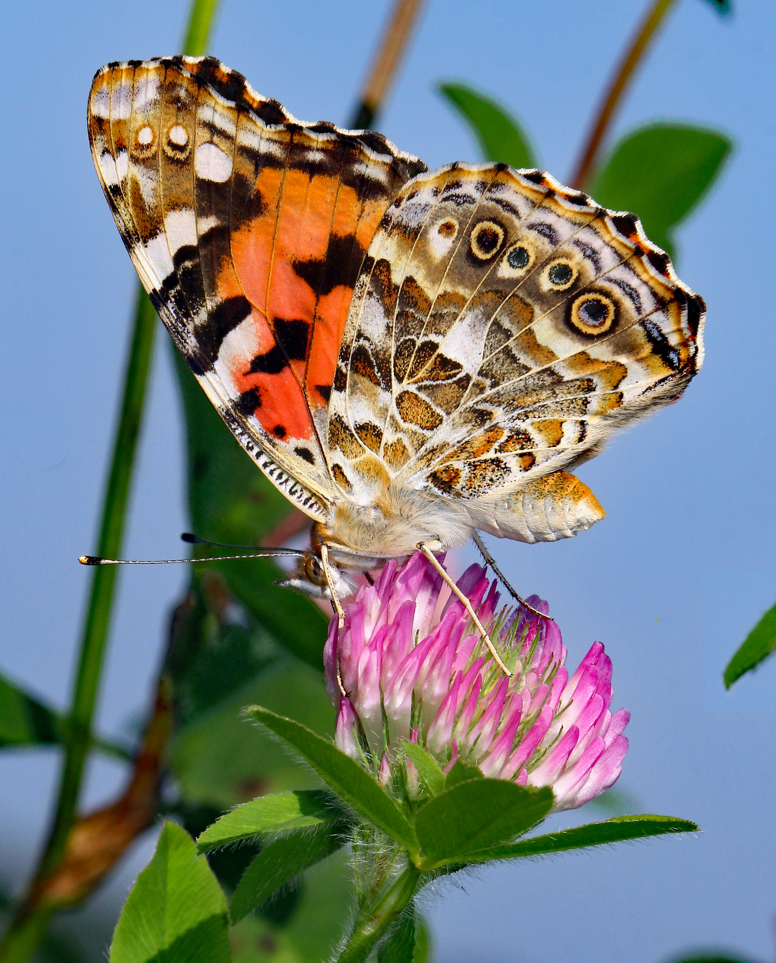 Photo by telliottmbamsc