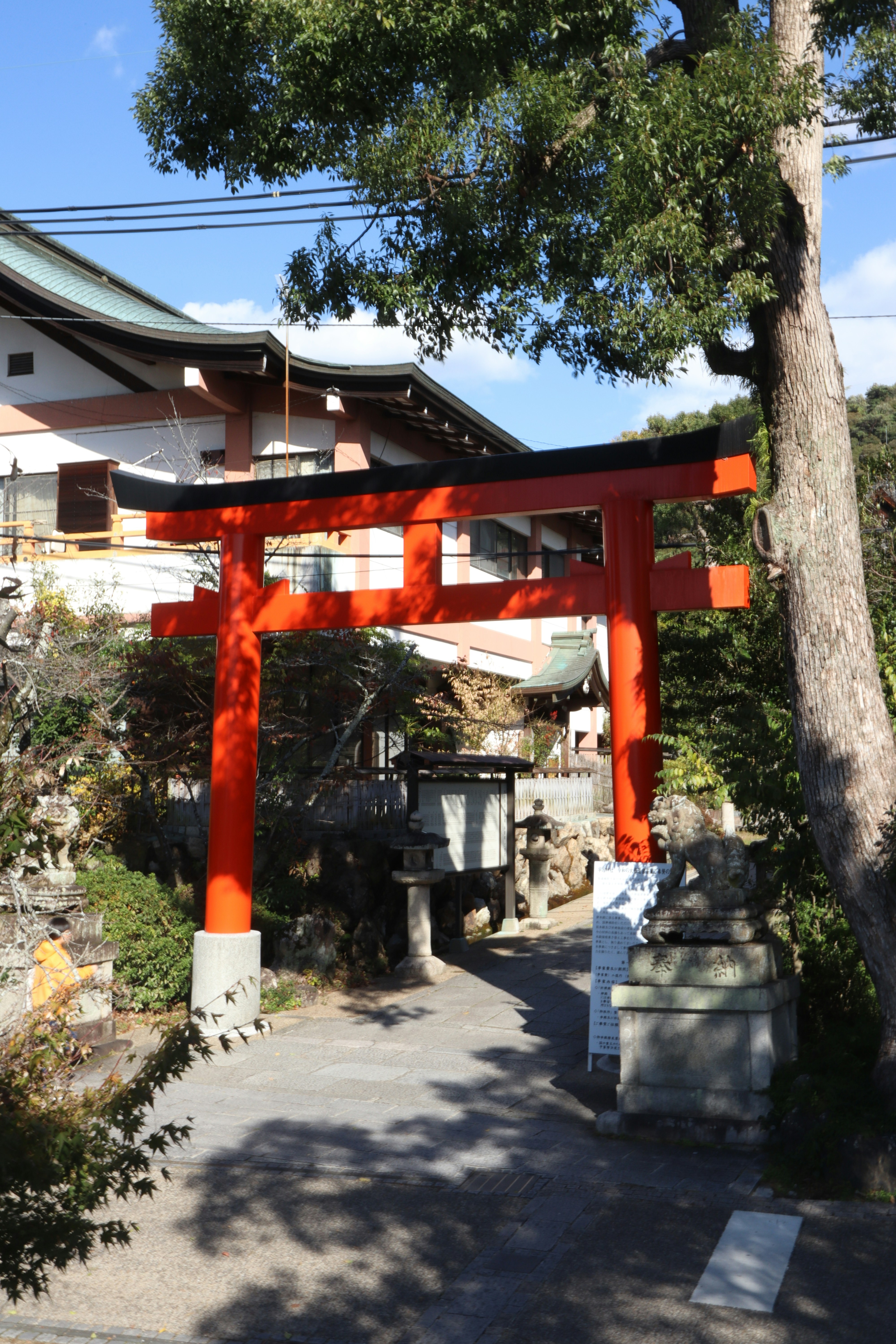 Photo by pearidoxical