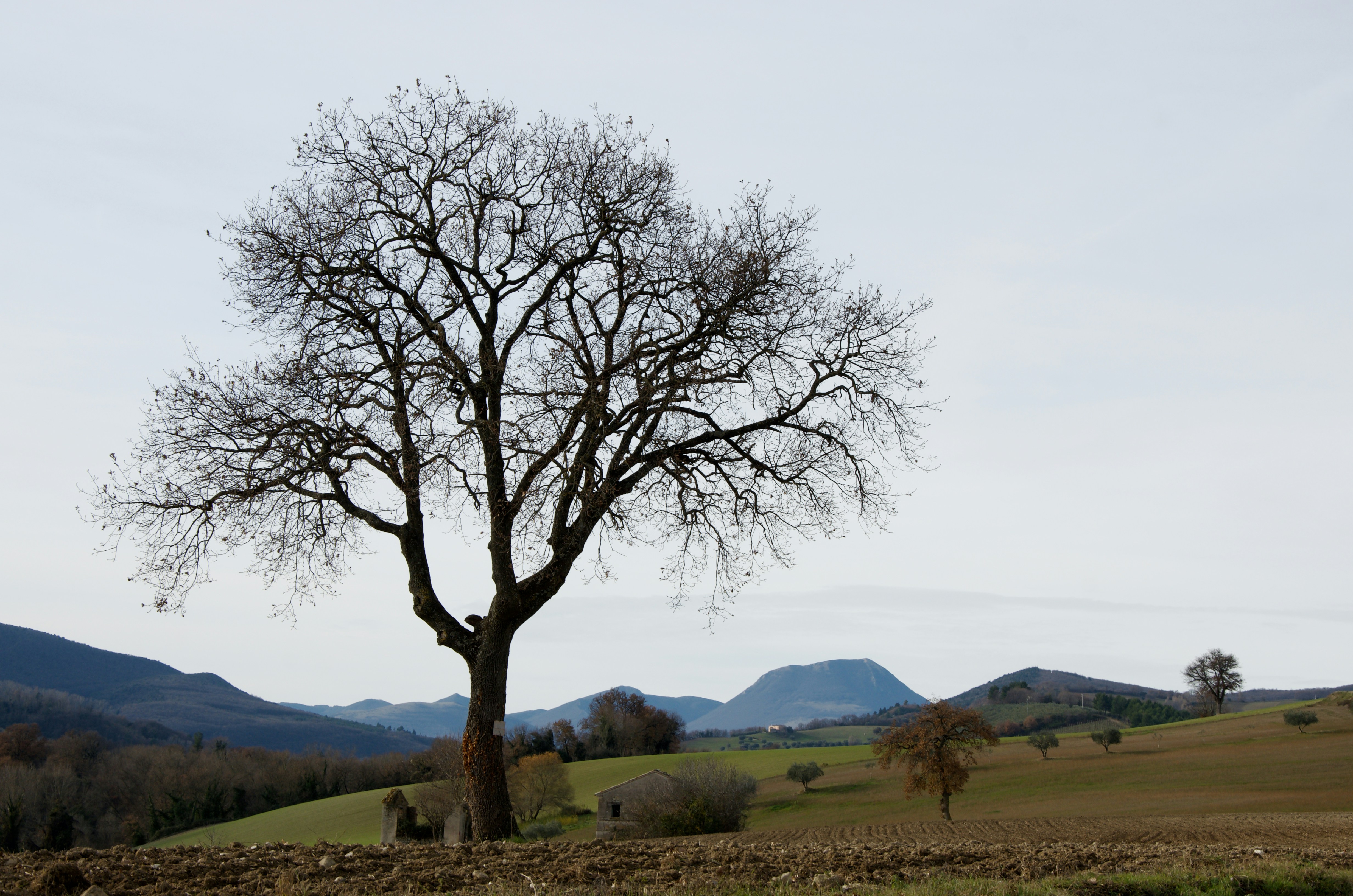 Photo by mariobeducci