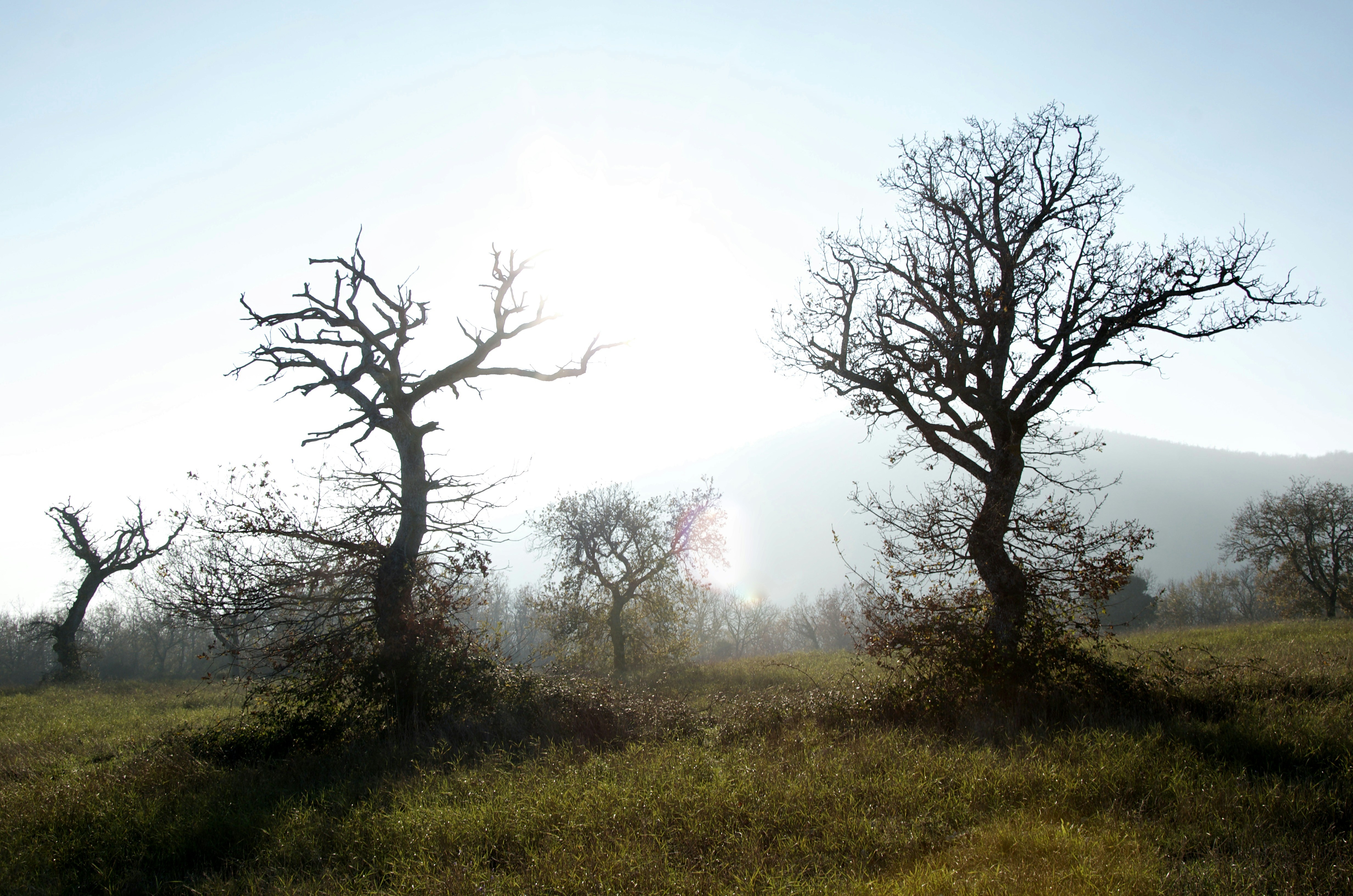 Photo by mariobeducci