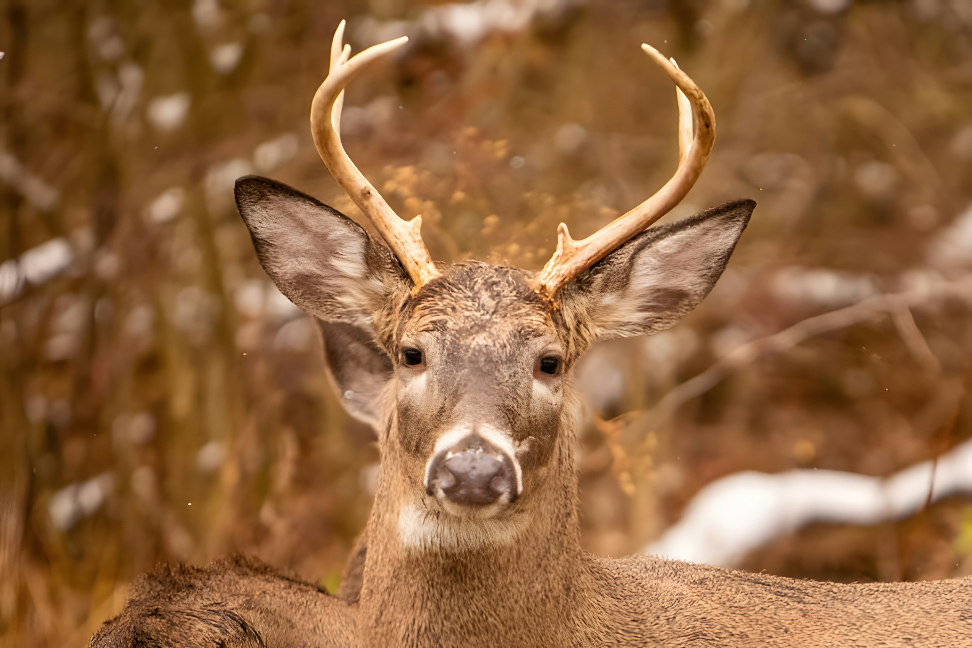 Photo by damiencampbell