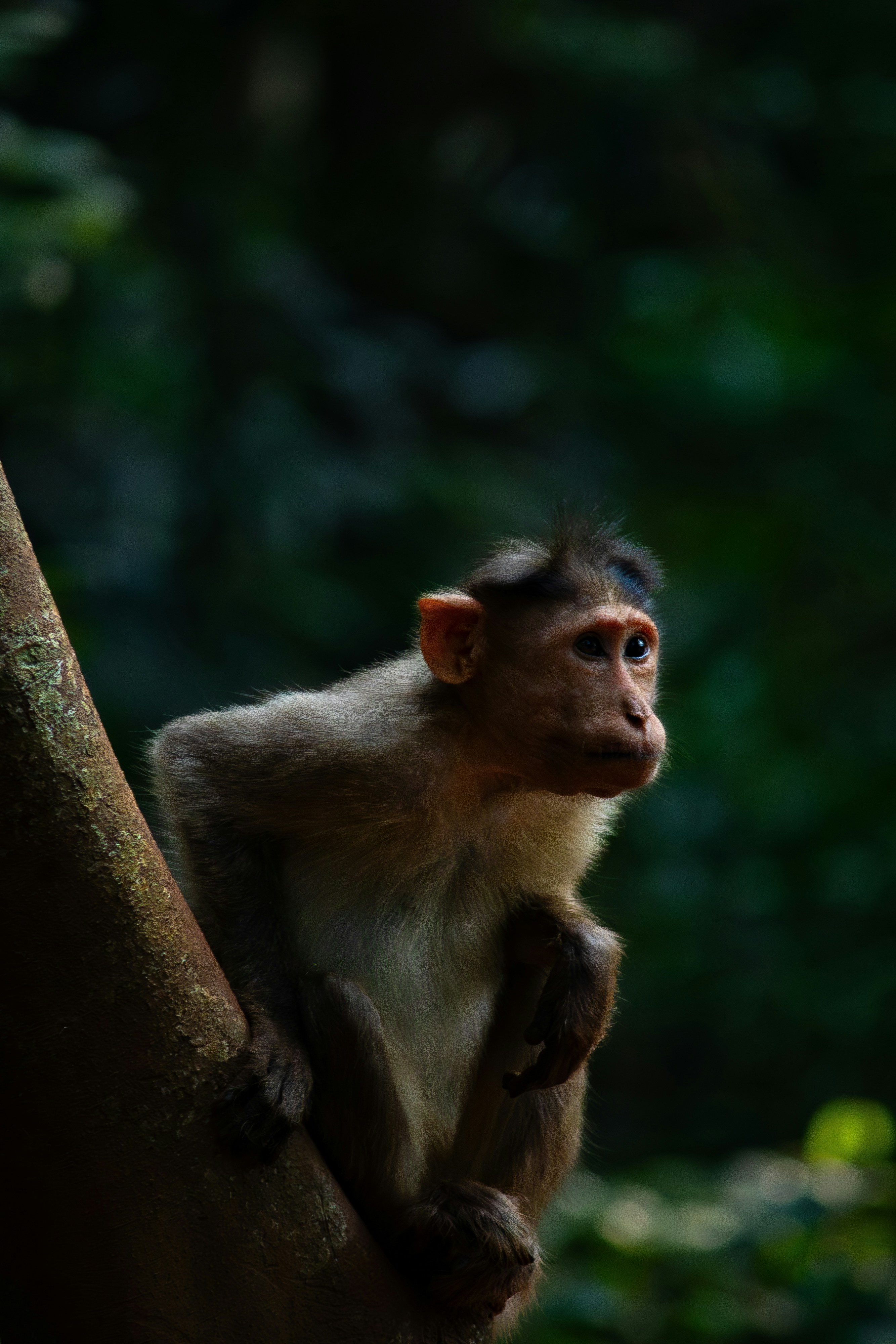 Photo by saiteja_varma