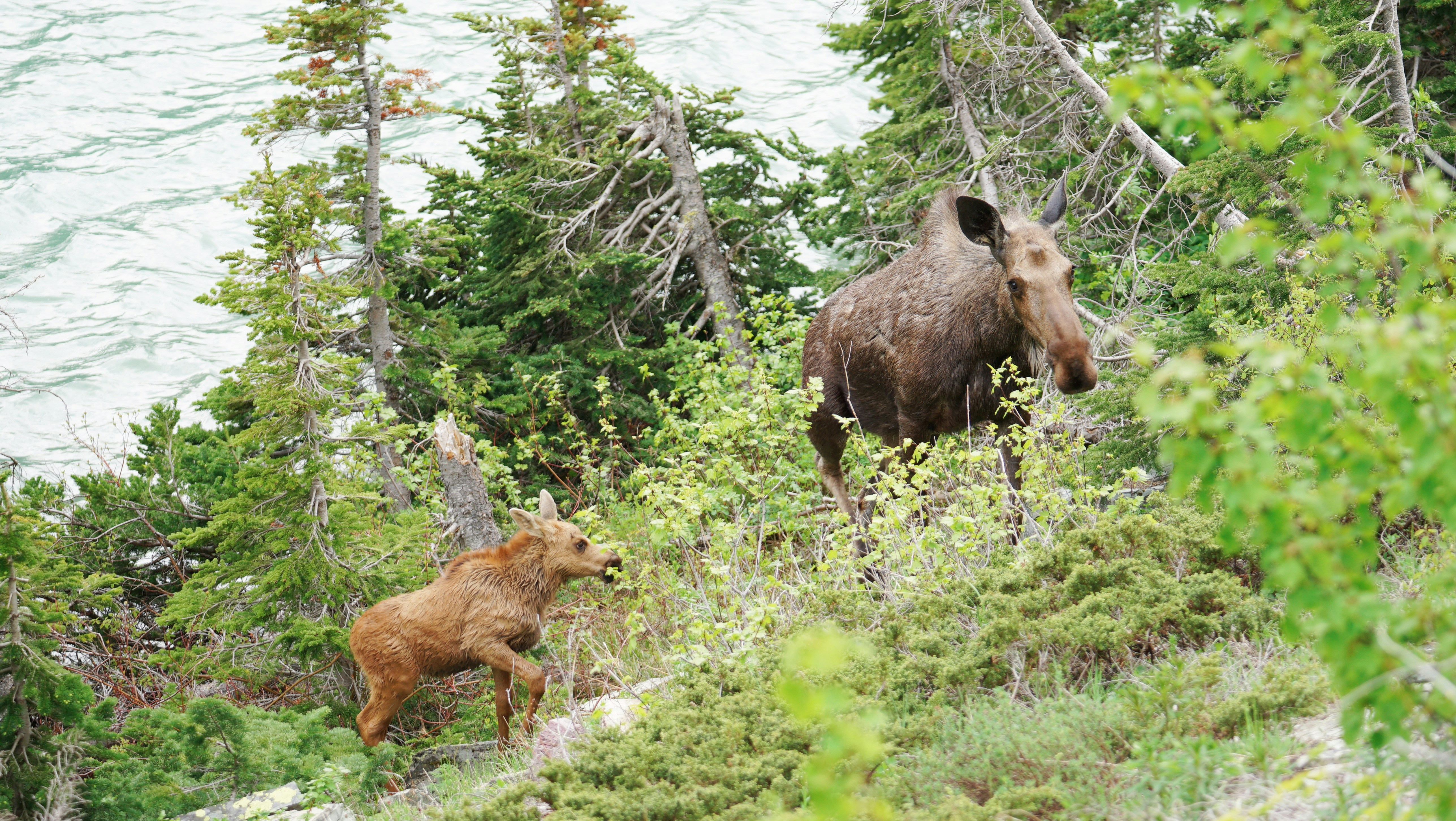 Photo by grandpacomp