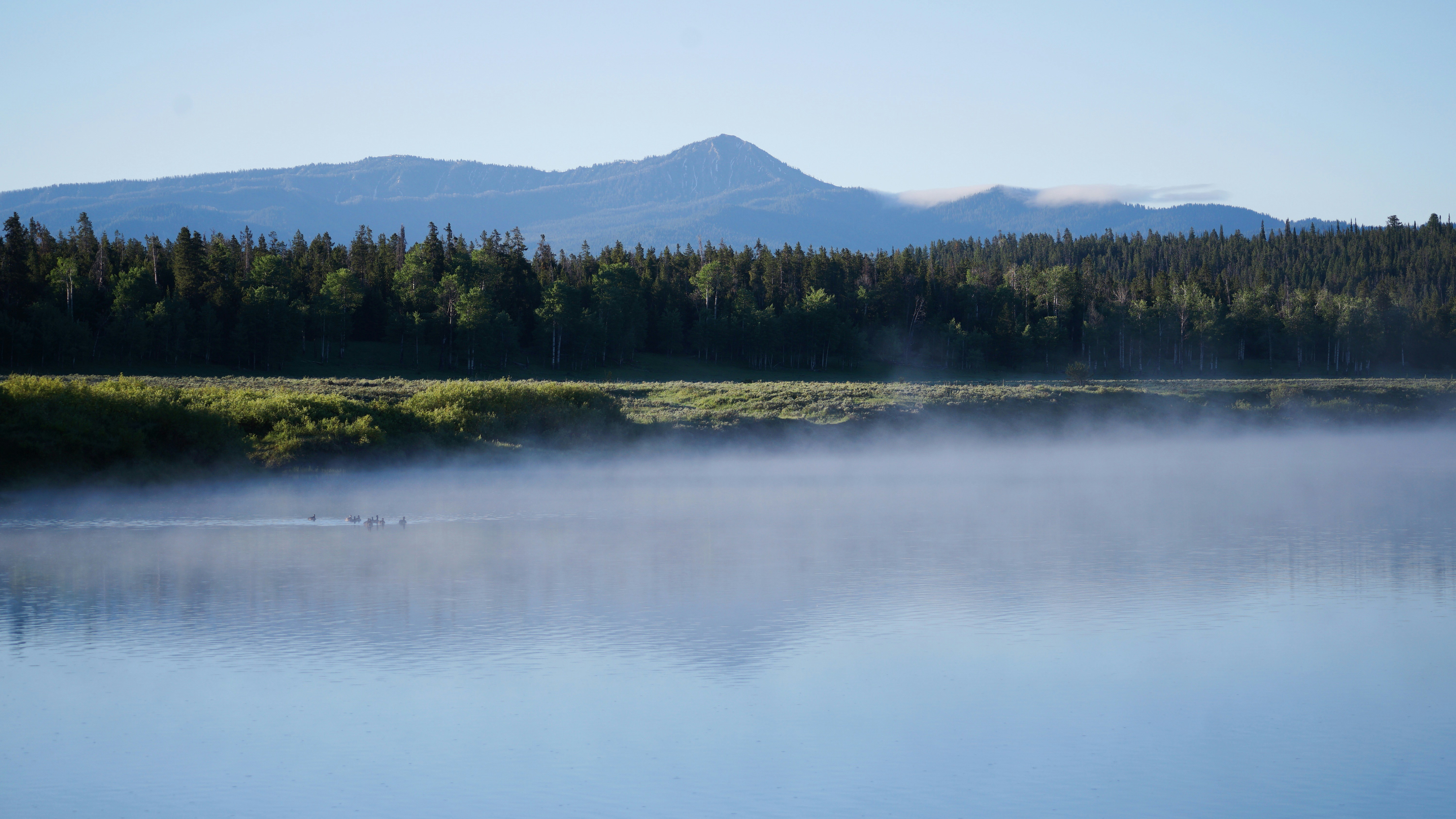 Photo by grandpacomp