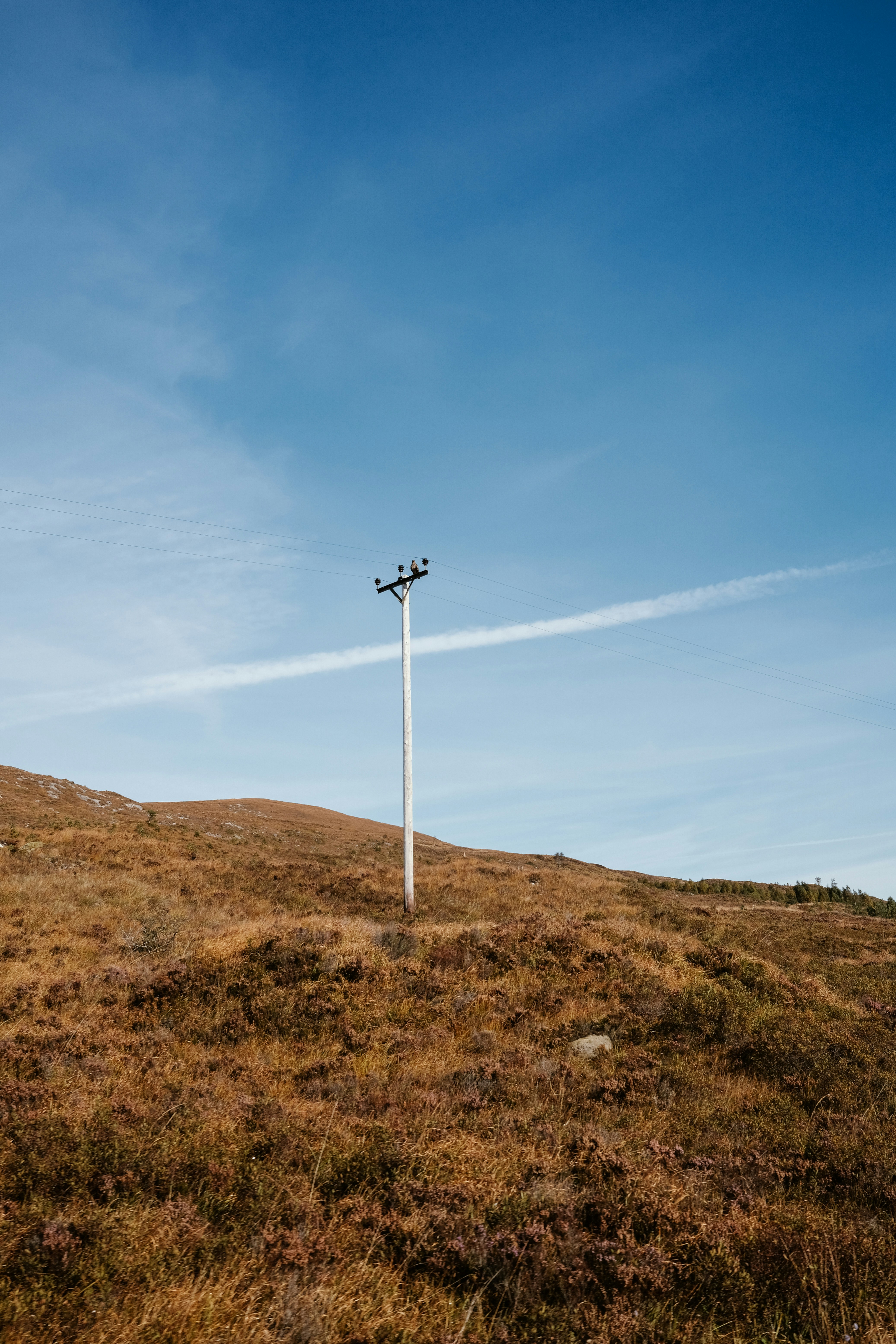 A telephone pole on a grassy hill under a blue sky