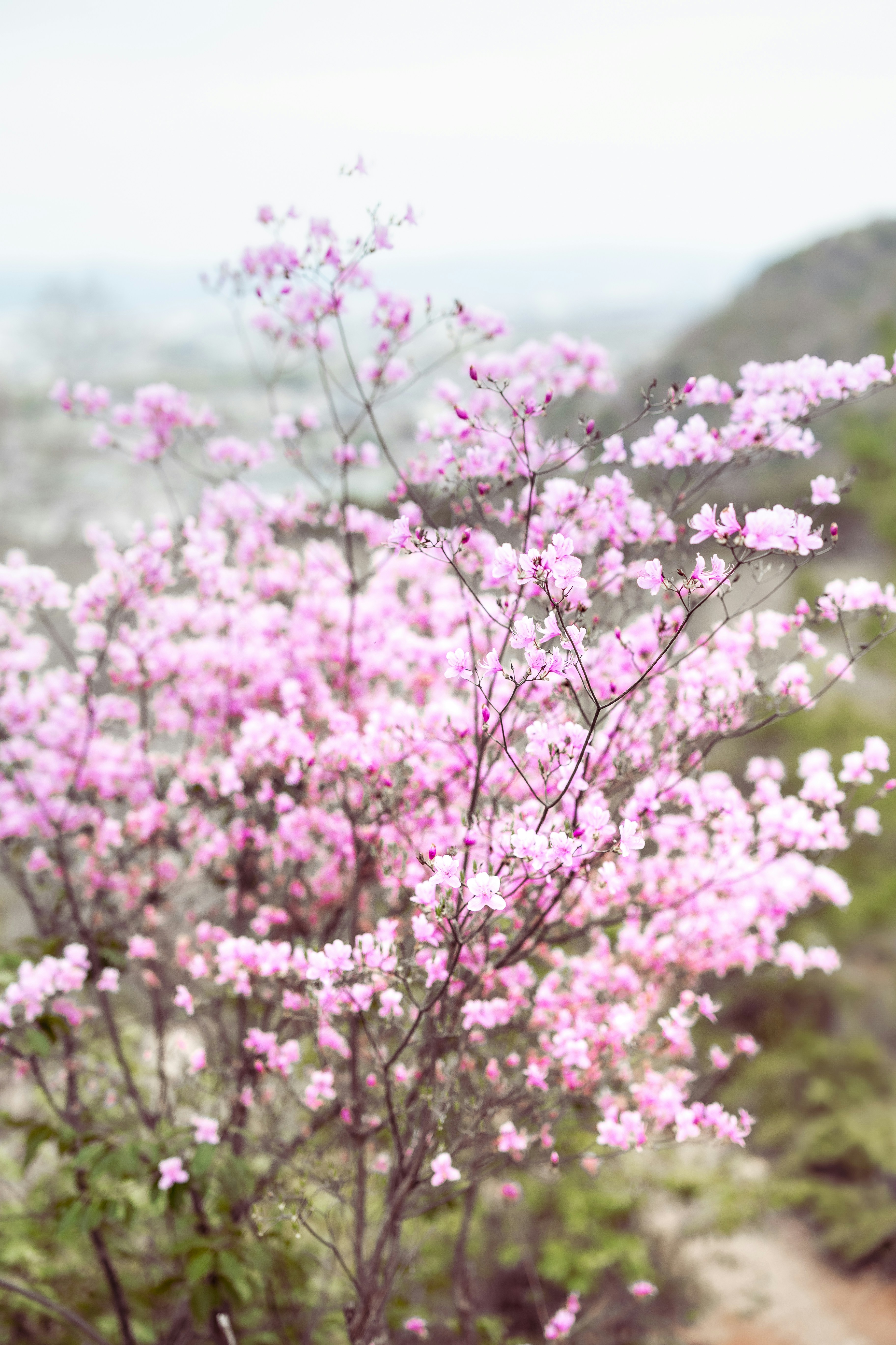 Photo by marekpiwnicki