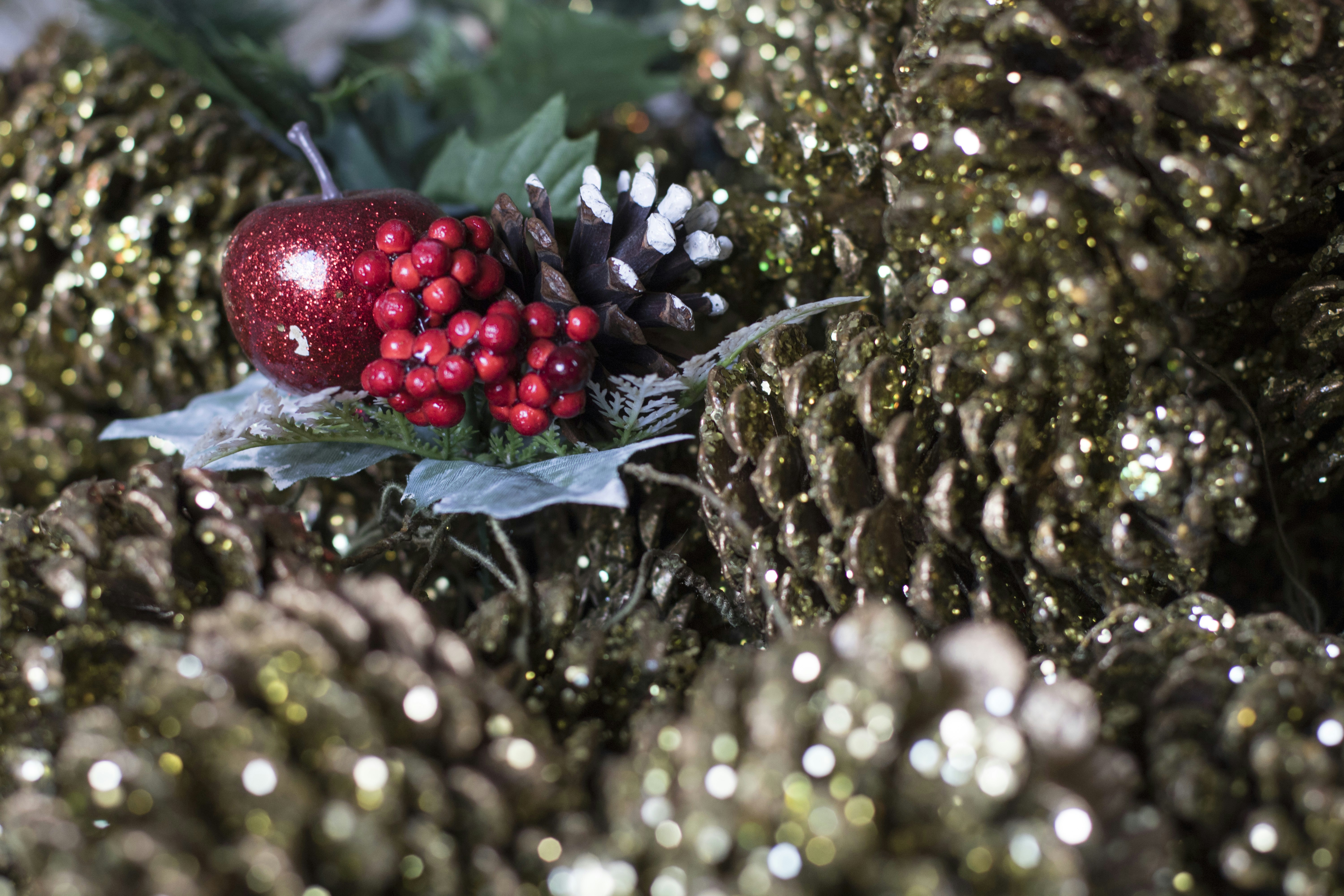 Photo by douglasivanauskas