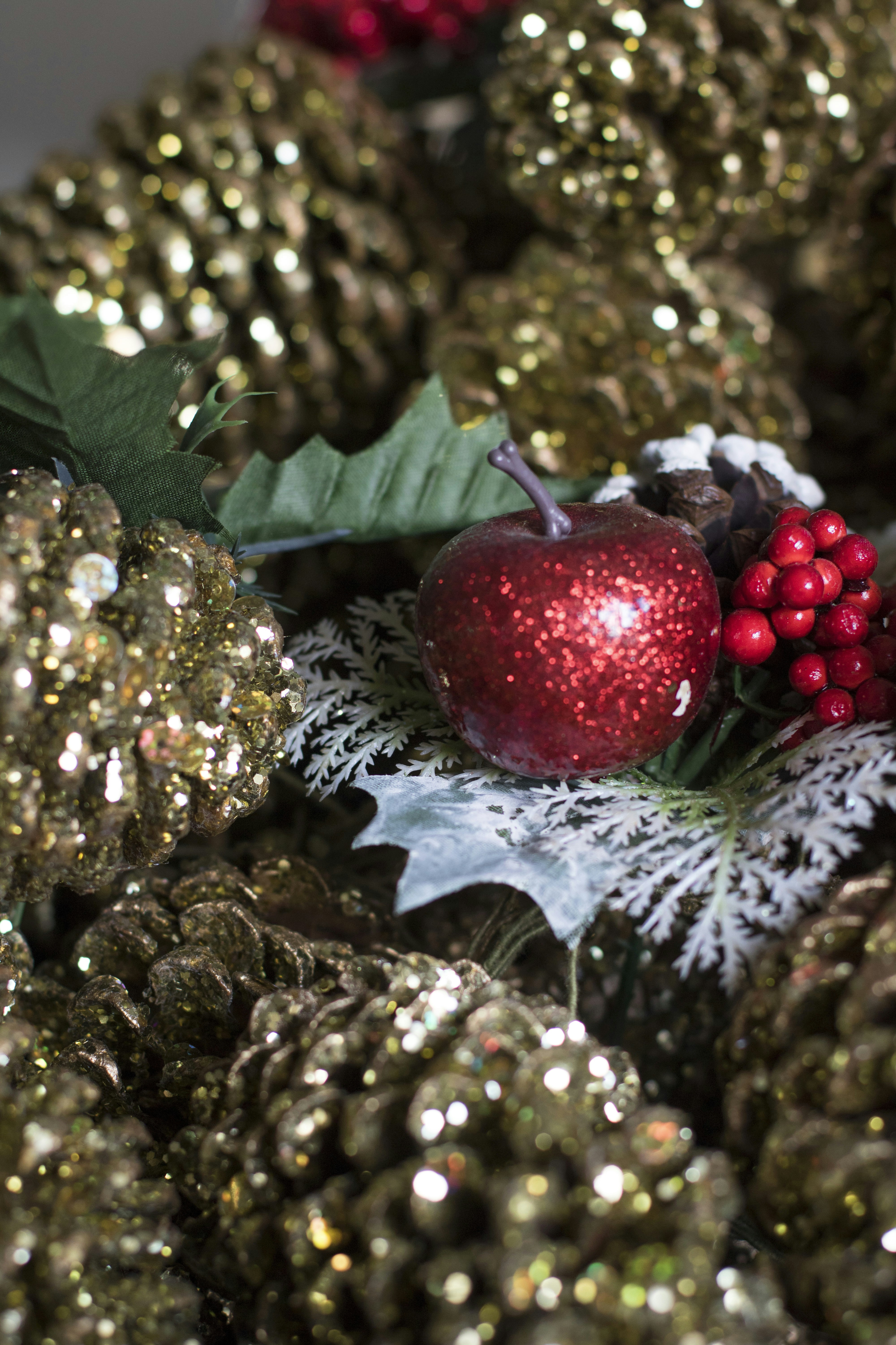 Photo by douglasivanauskas