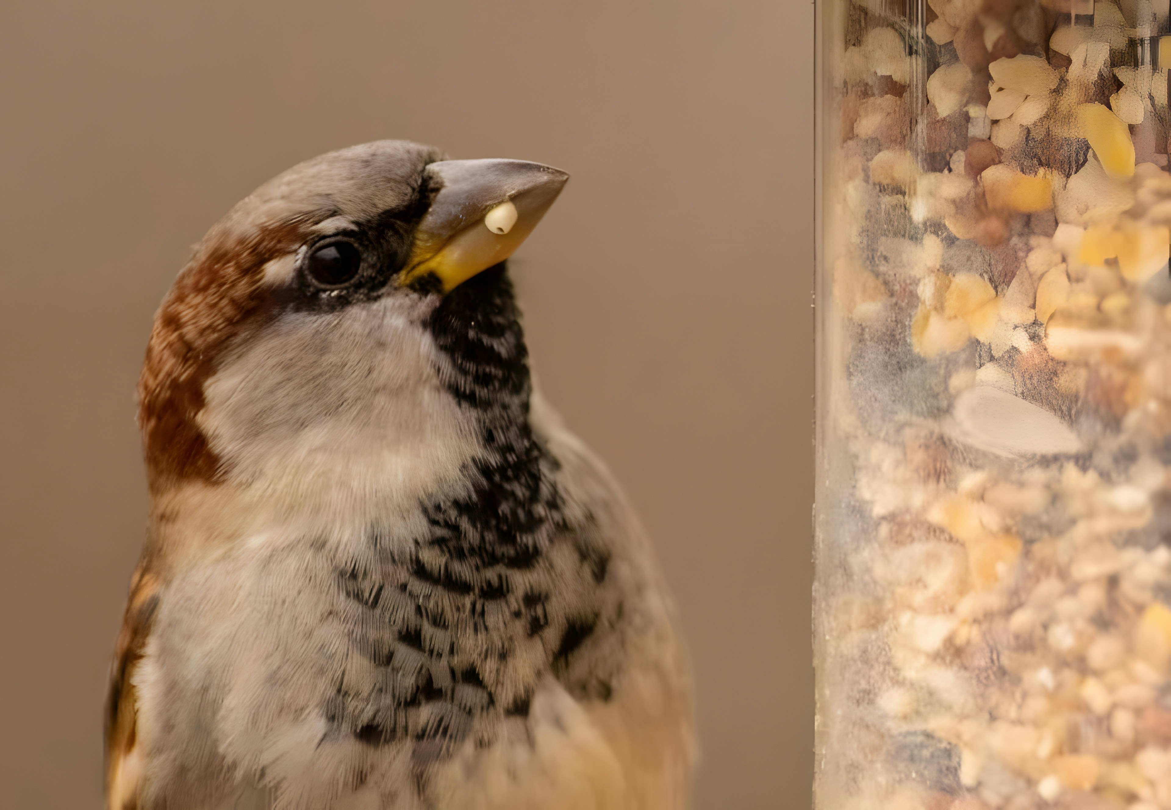 A bird sitting on a table next to a jar of food