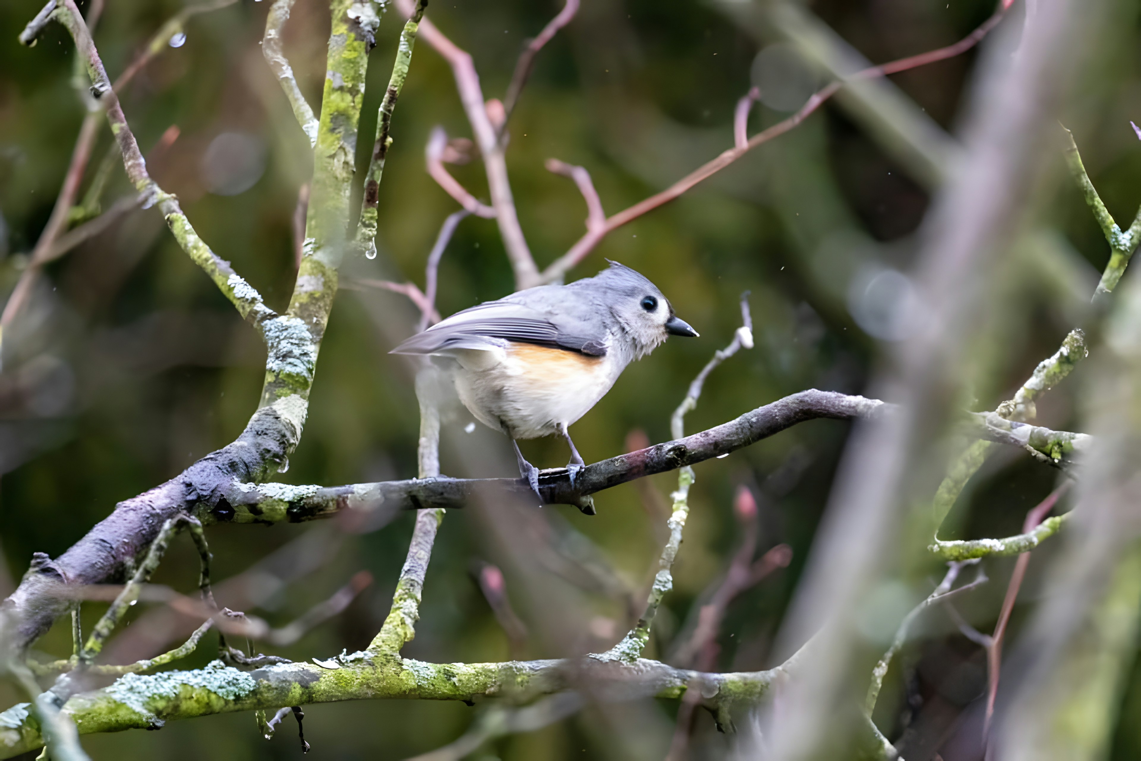 Photo by damiencampbell