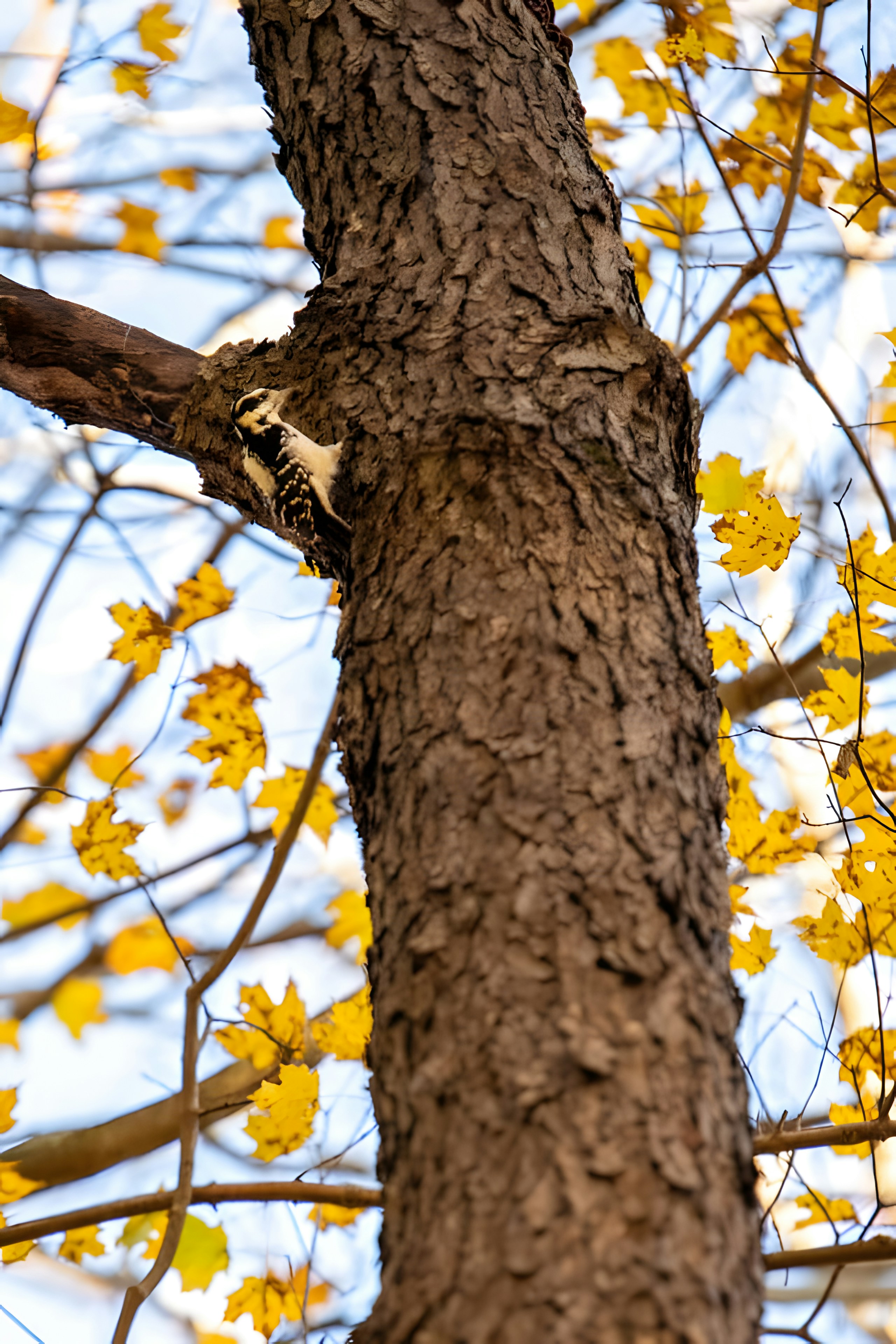 A bird is perched on a tree branch