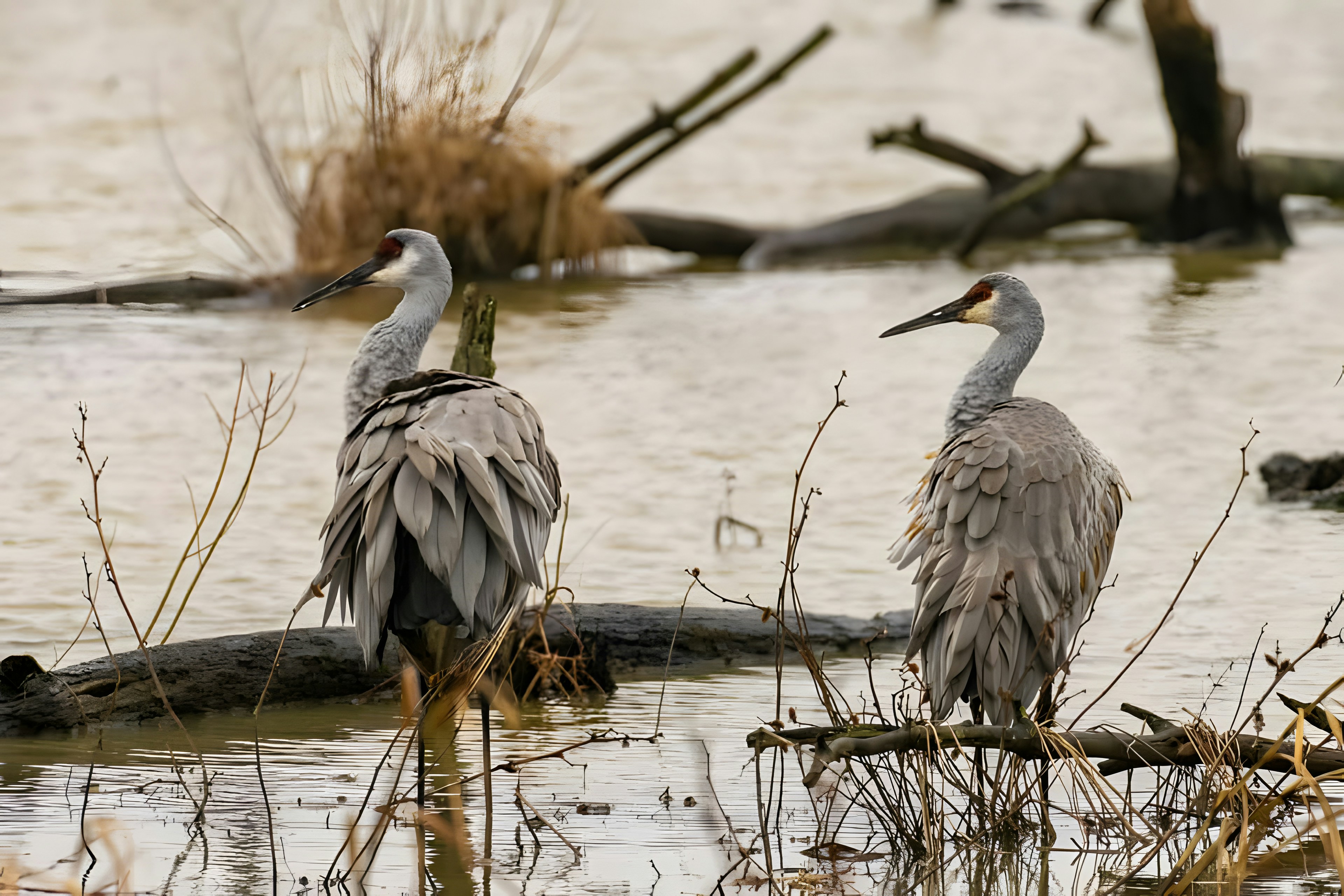 Photo by damiencampbell