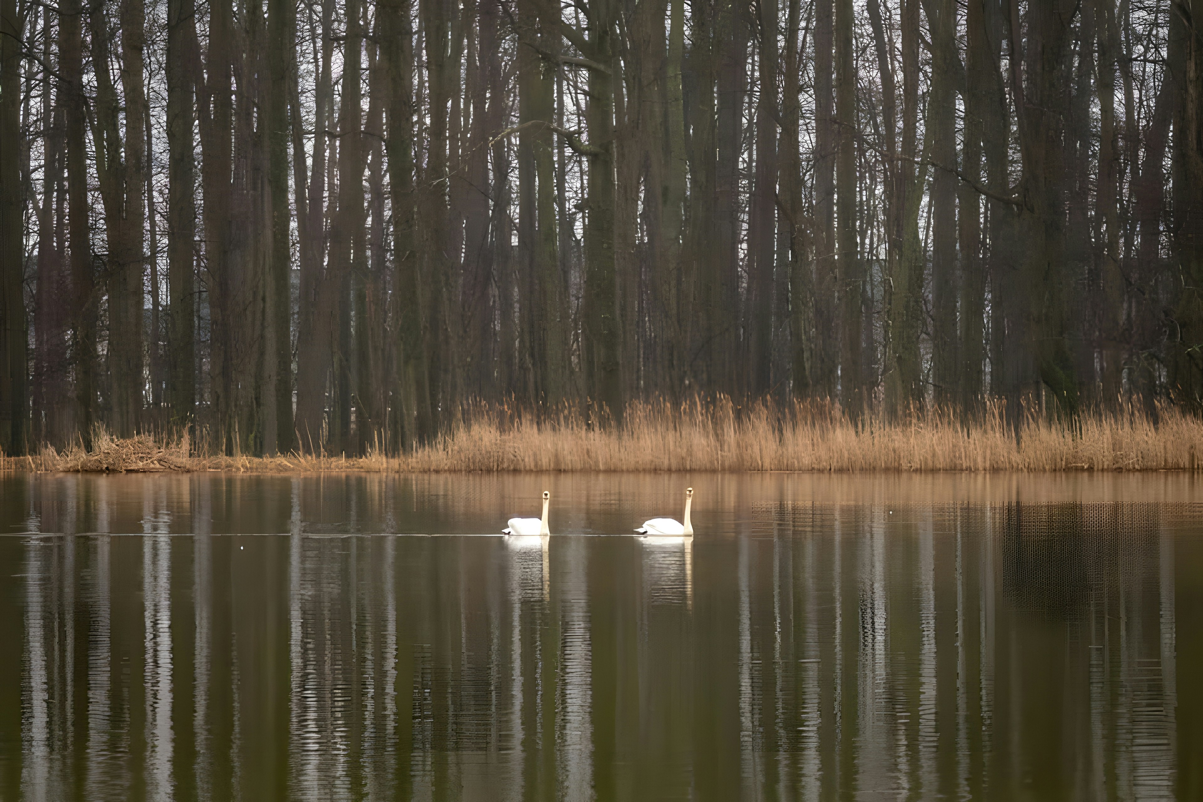 Photo by damiencampbell