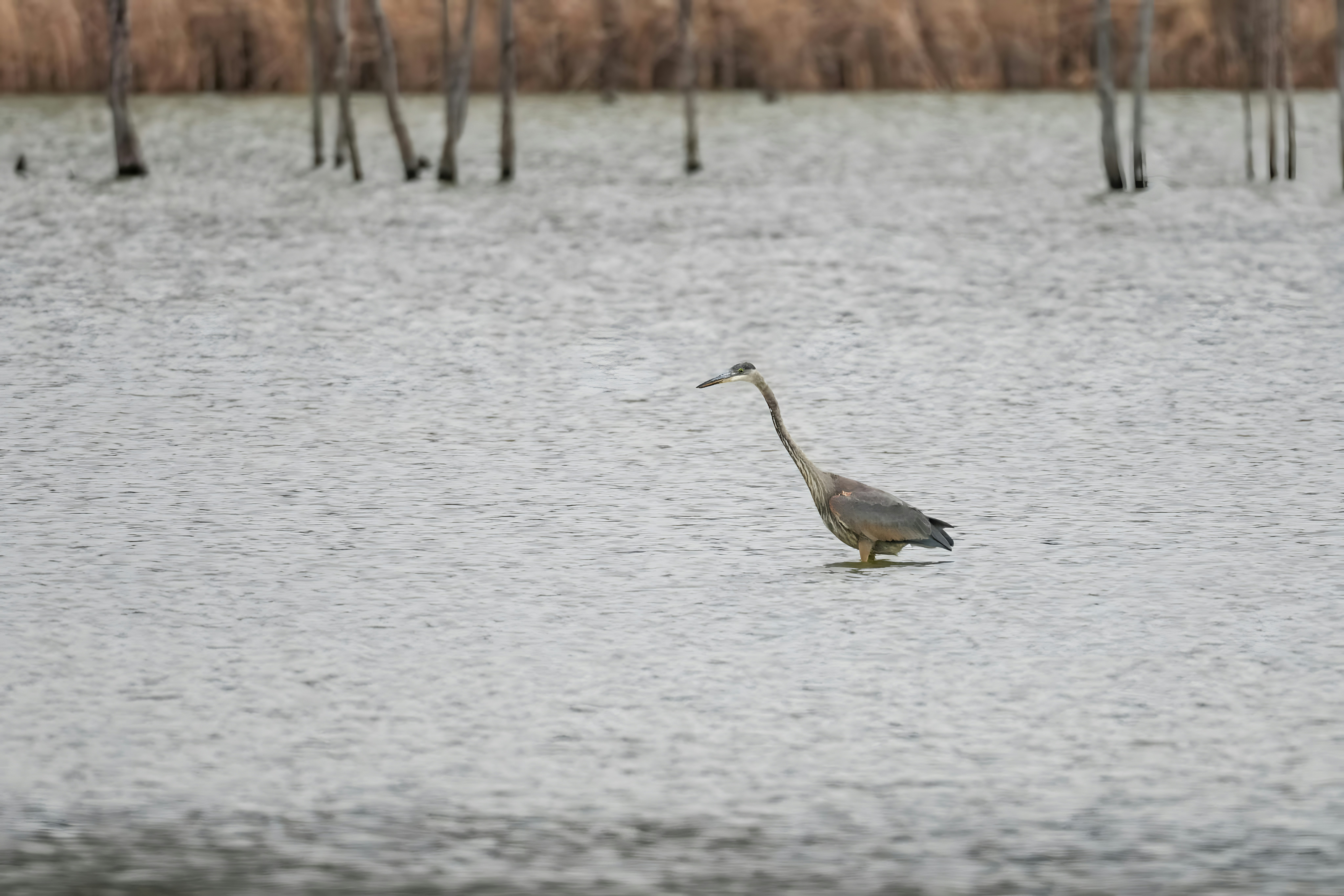 Photo by damiencampbell