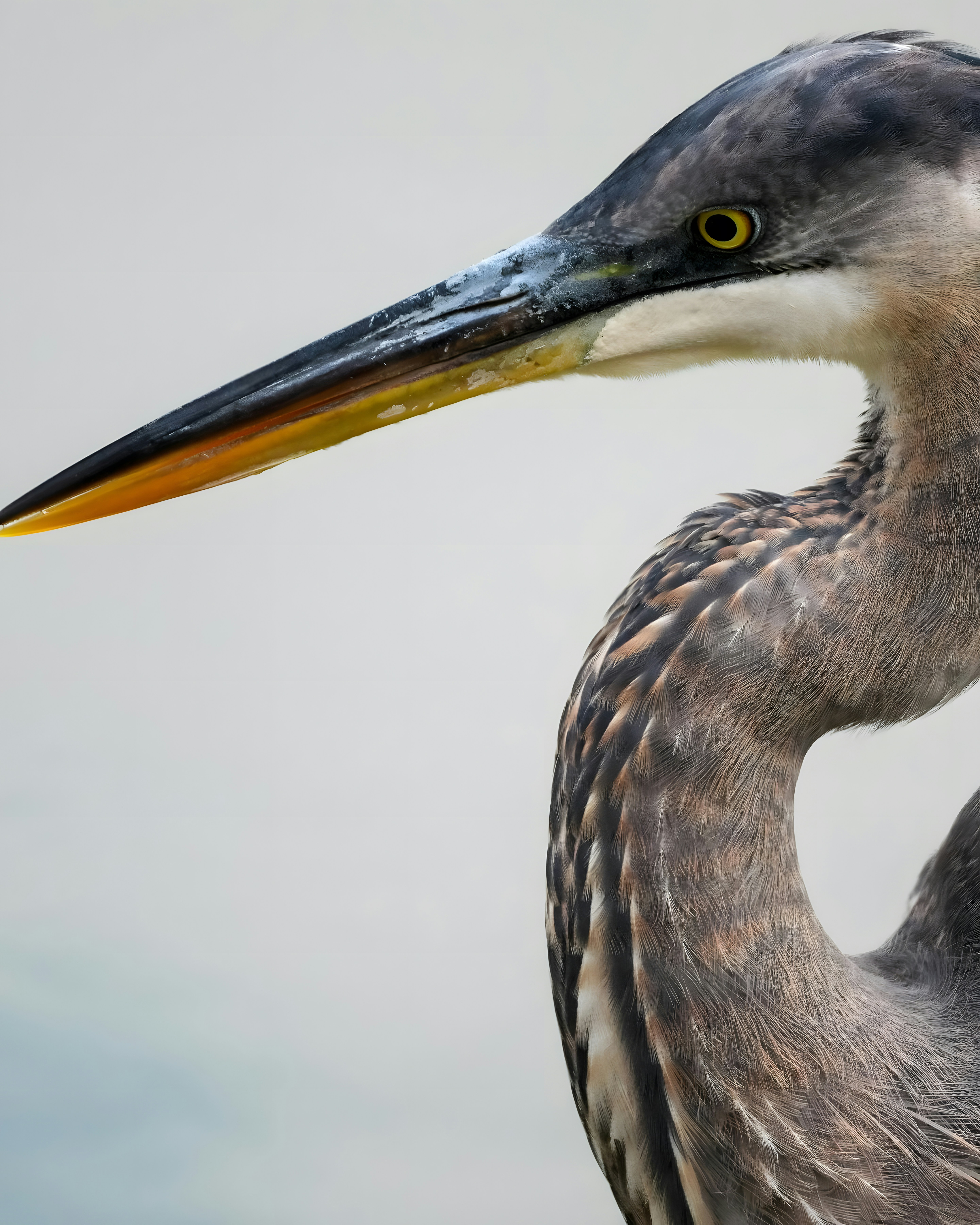 Photo by damiencampbell