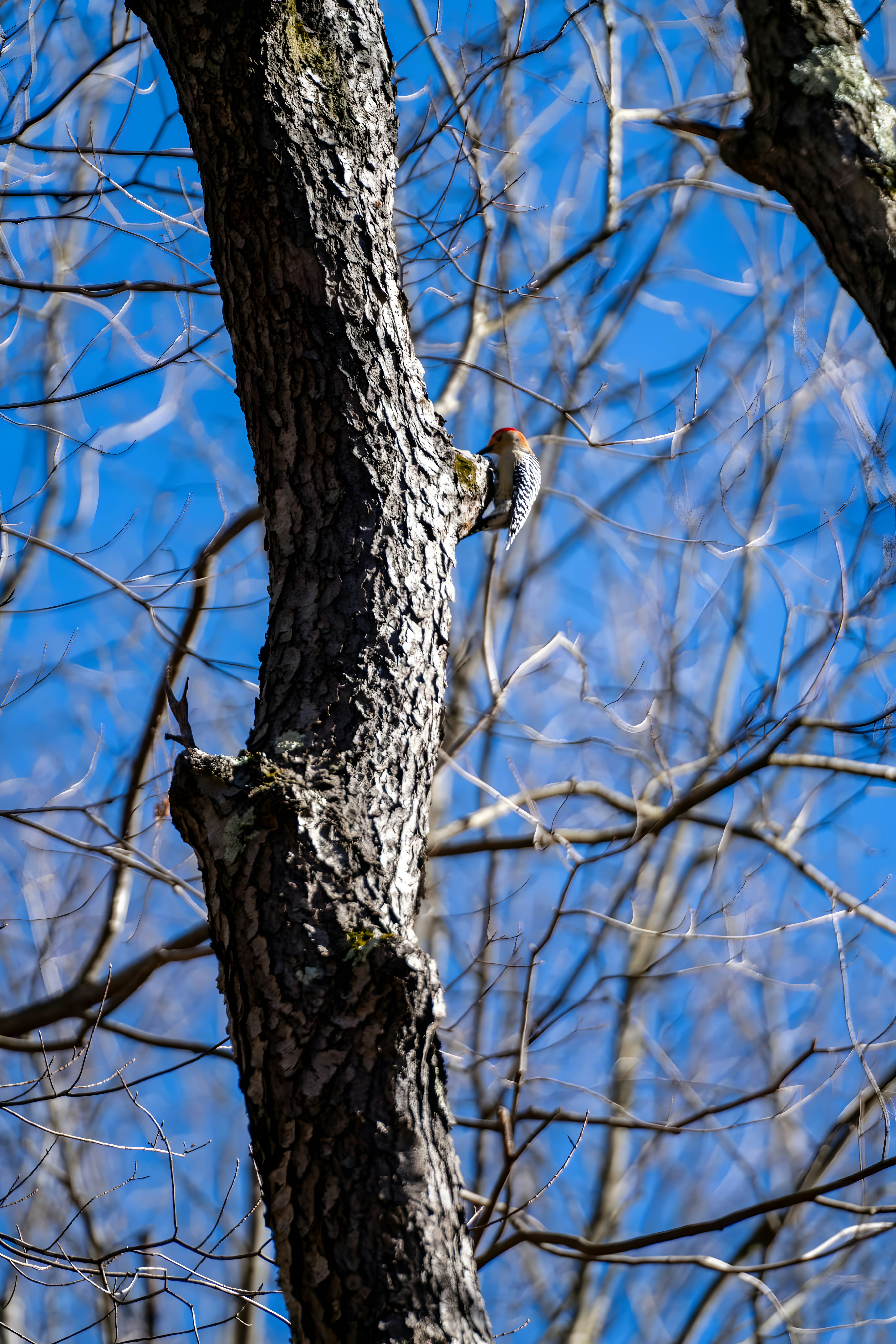 Photo by damiencampbell