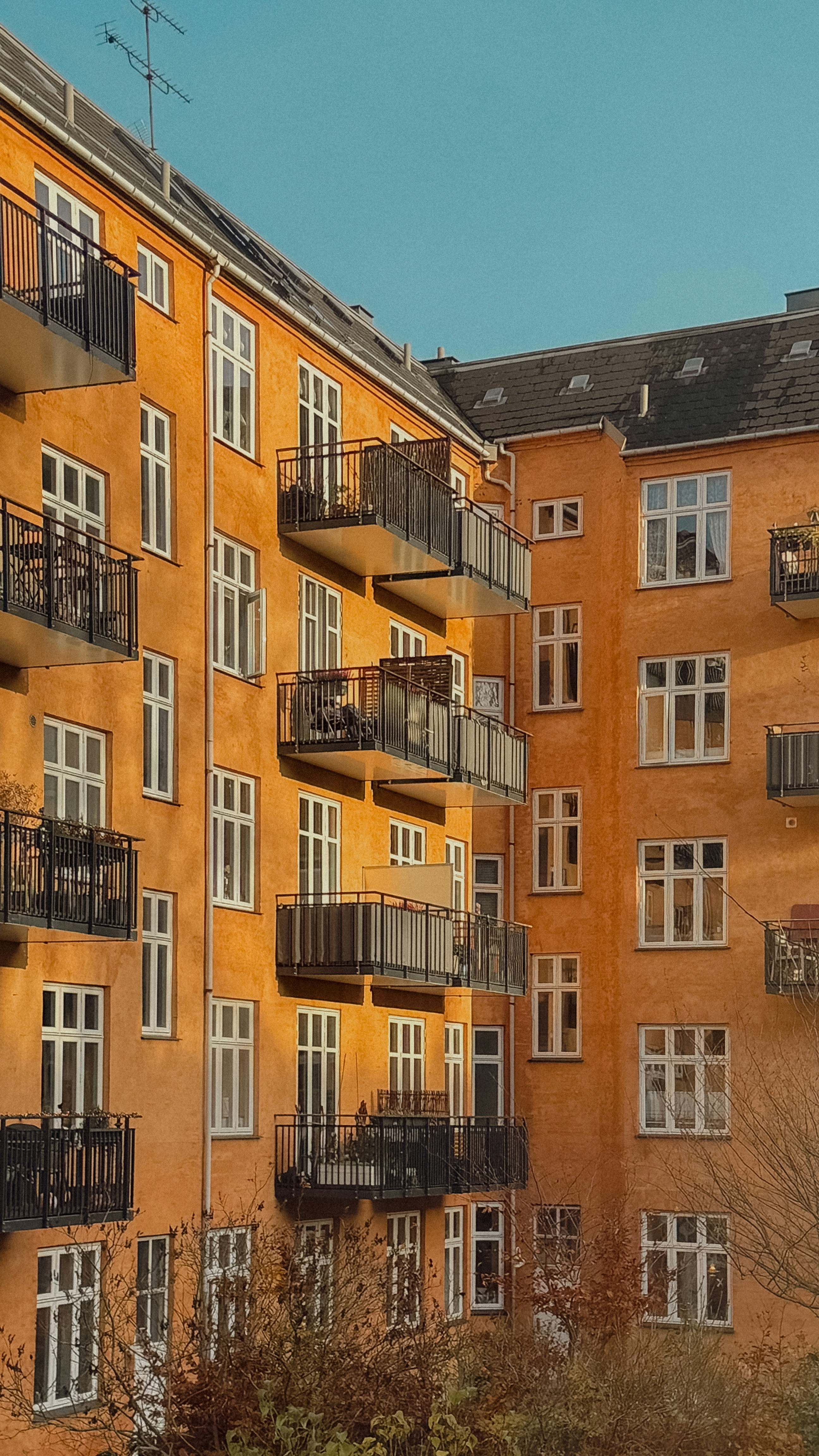 Photo by thereseskaarup