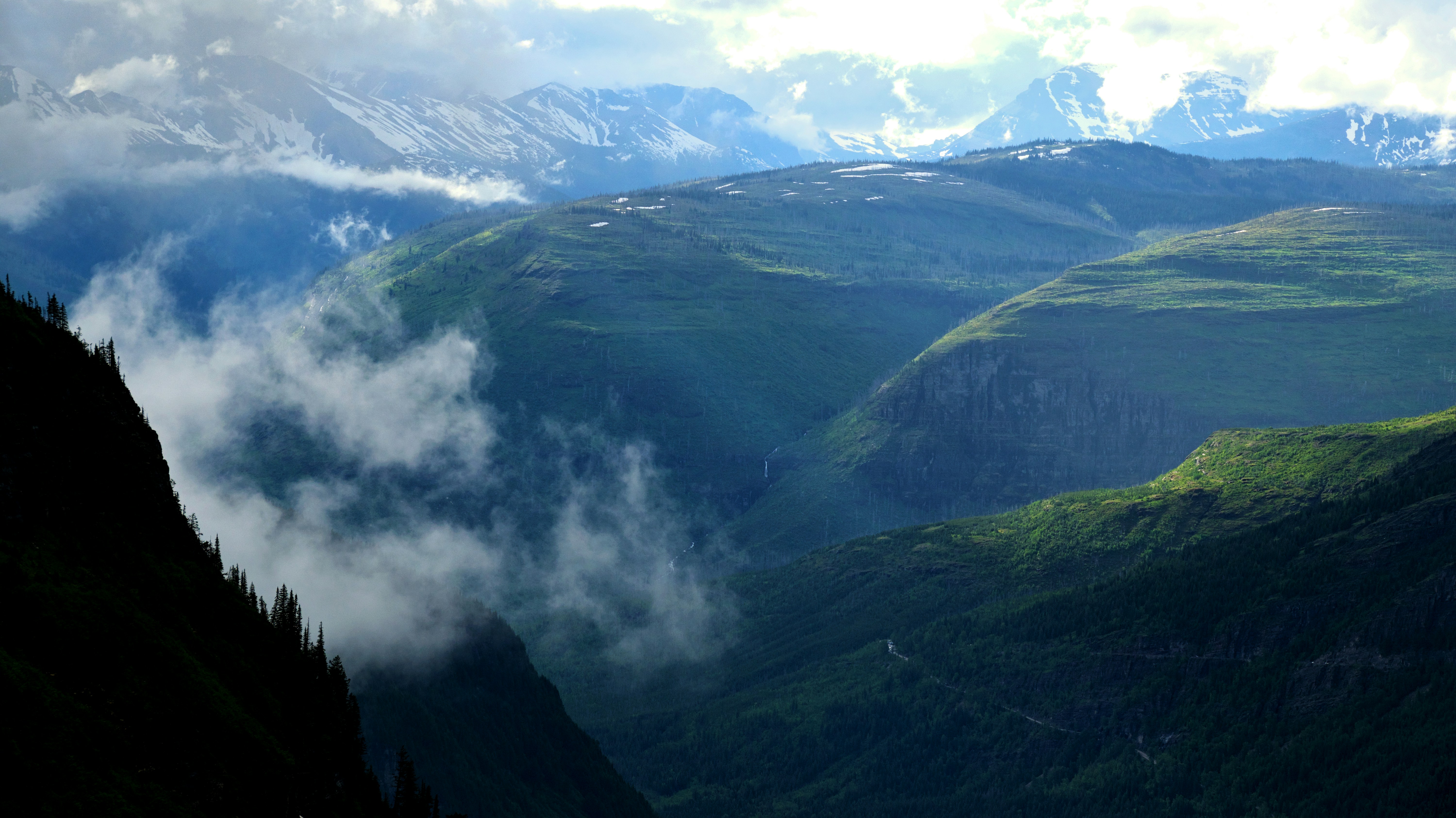 Photo by josswoodhead