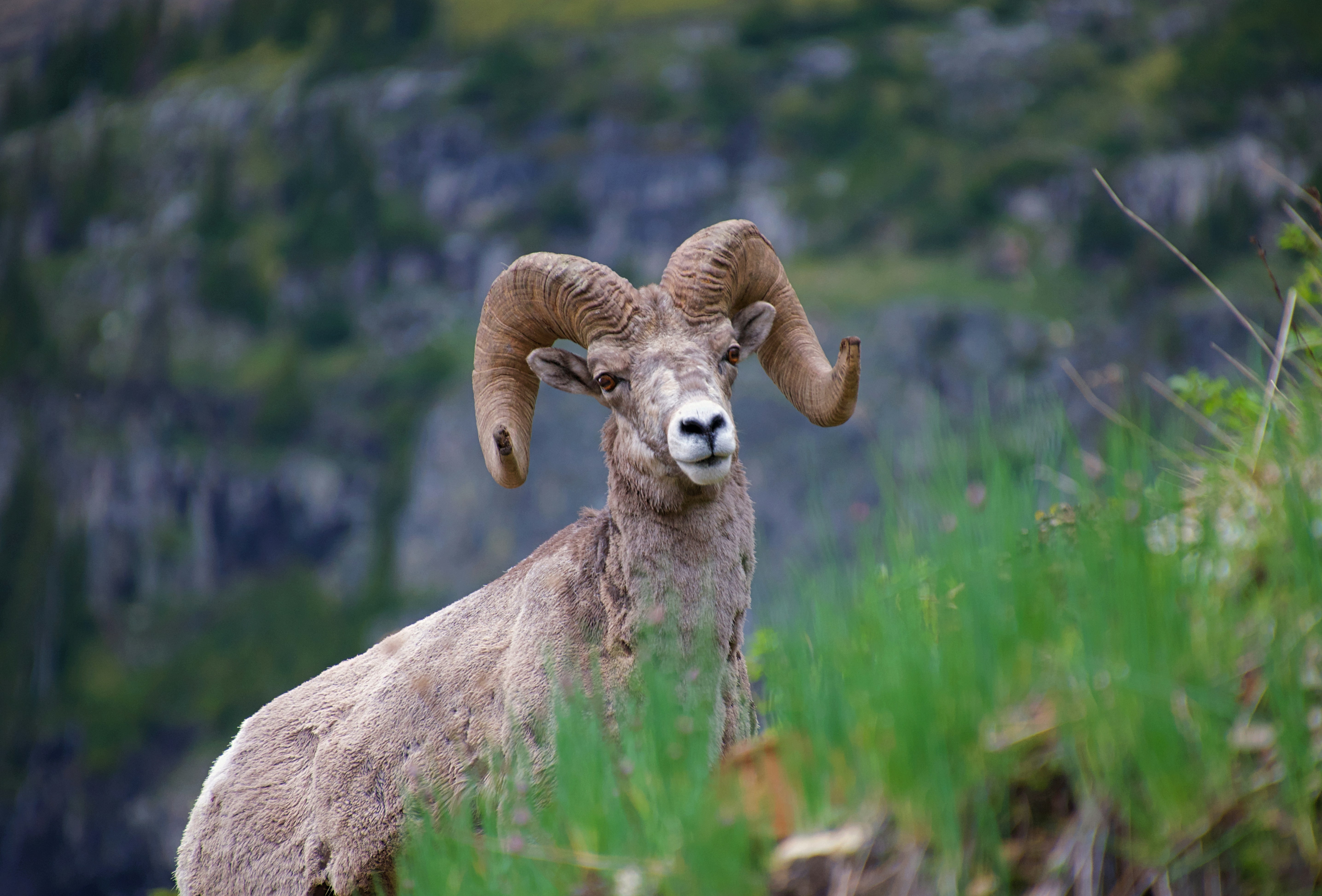 Photo by josswoodhead