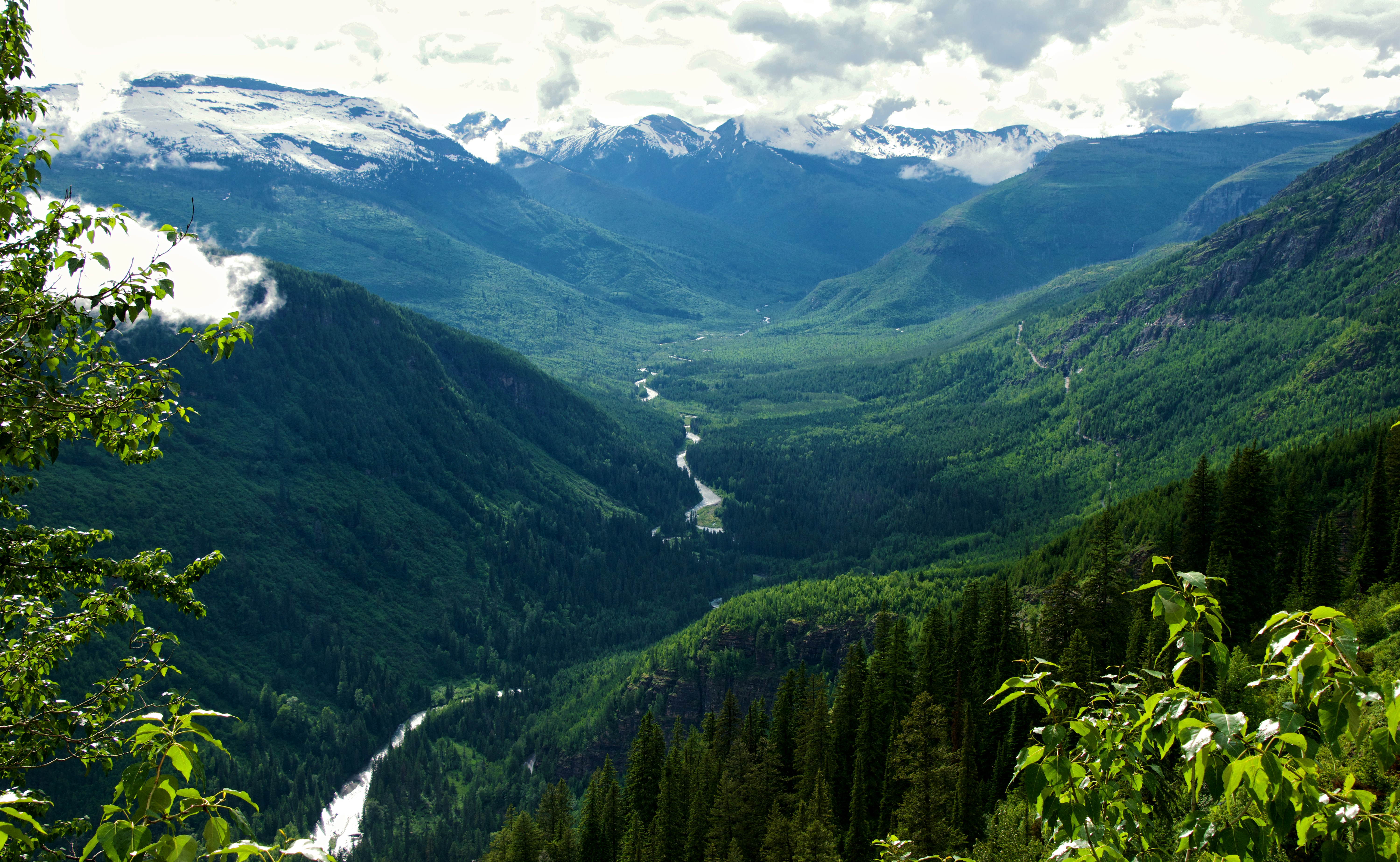 Photo by josswoodhead