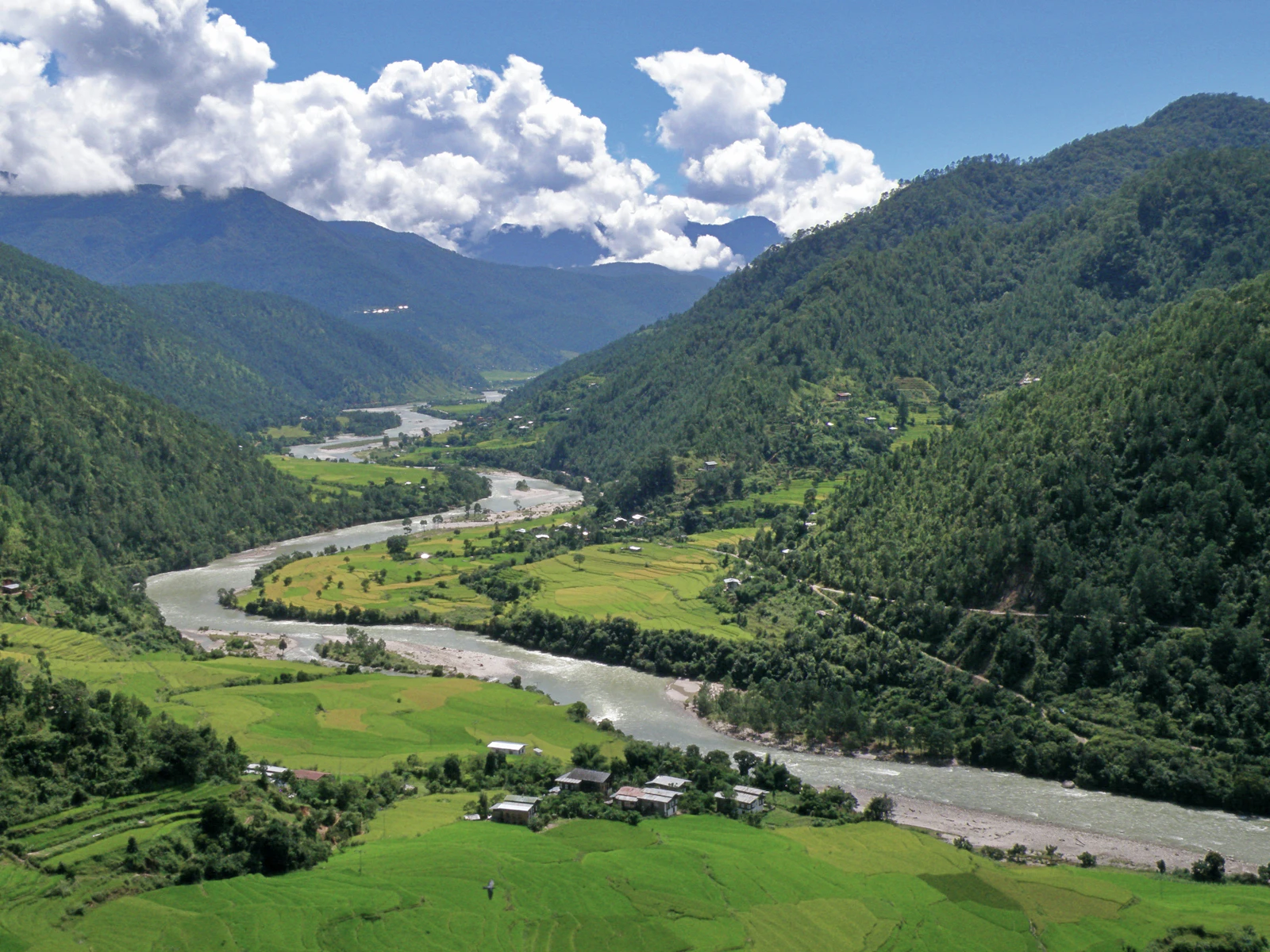 The Mo Chhu winding north between rice fields and forested ridges in the Punakha valley, cloud over the far hills
