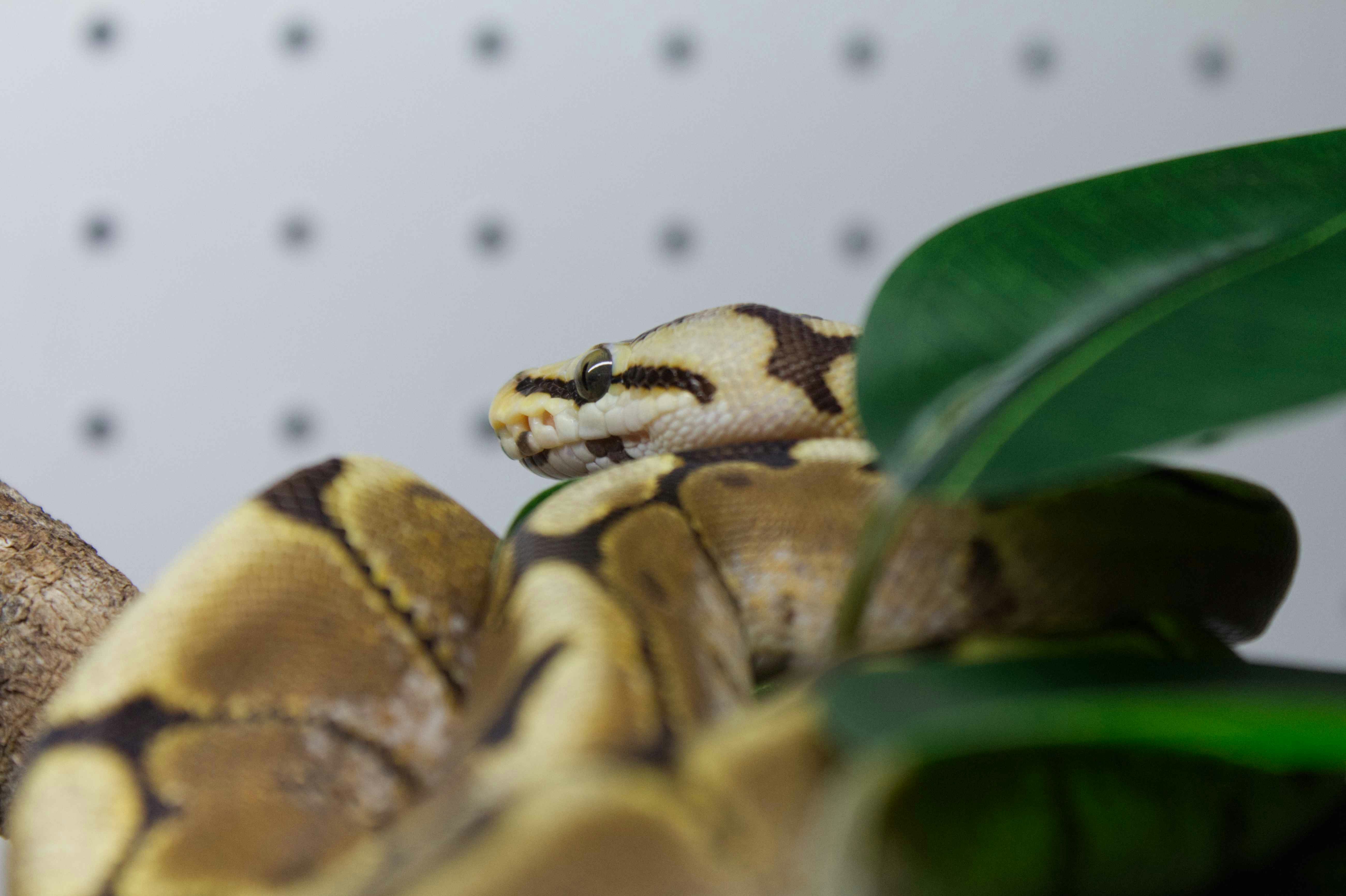 Zajęcia Python III nr 13 - notatki