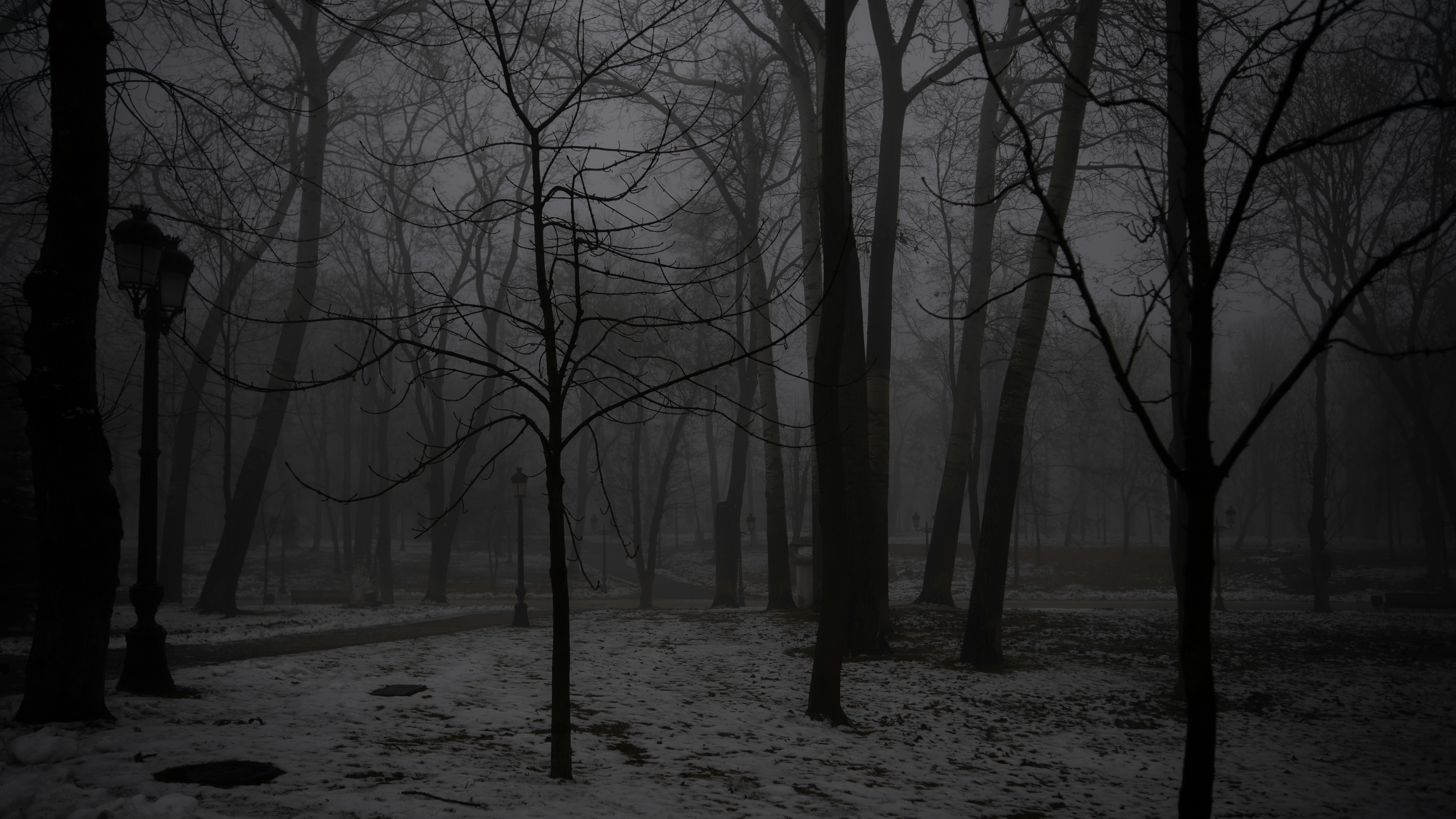 Photo by eugenechystiakov